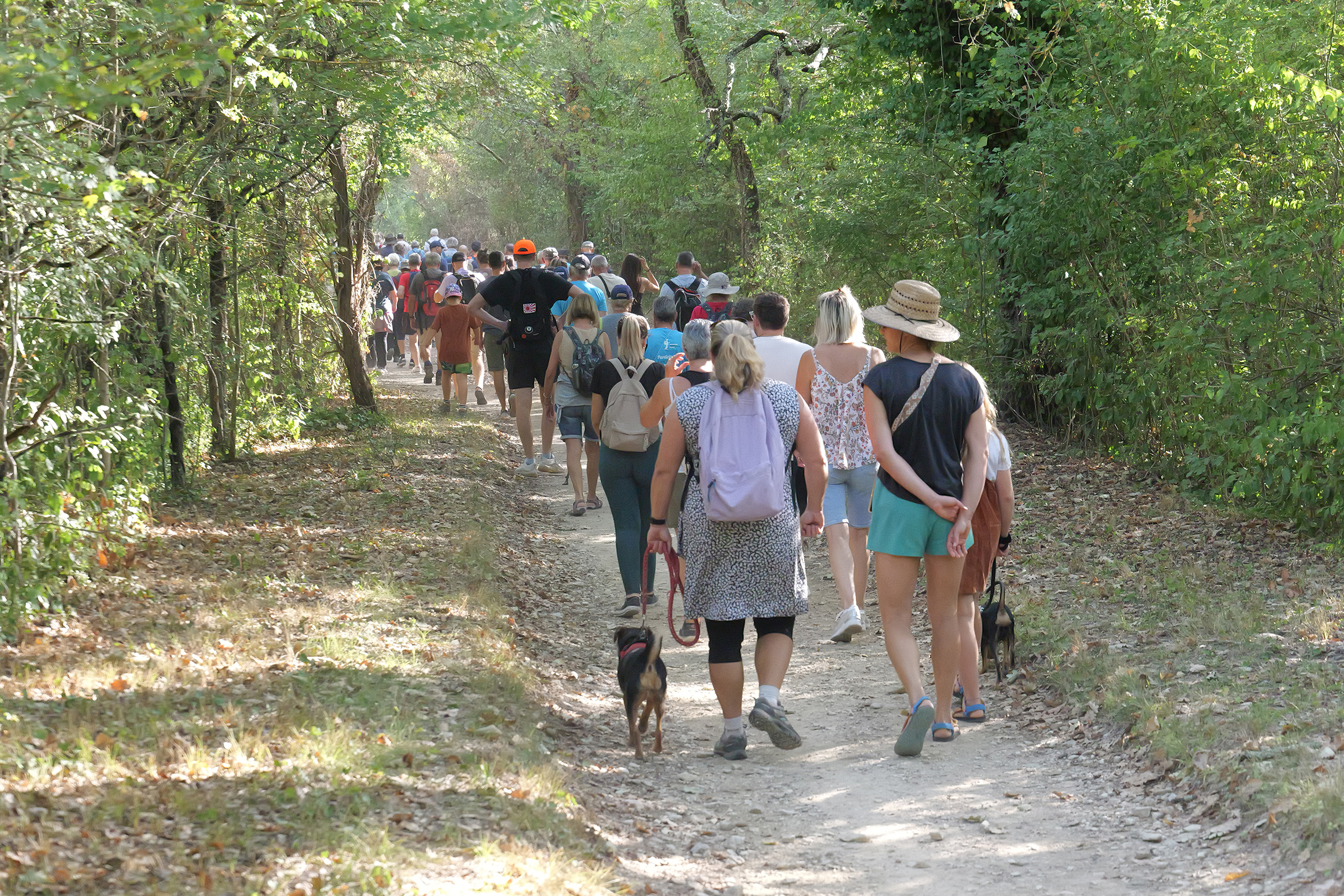 2026-09-06 Marche pour la Vue - IRRP 07.jpg