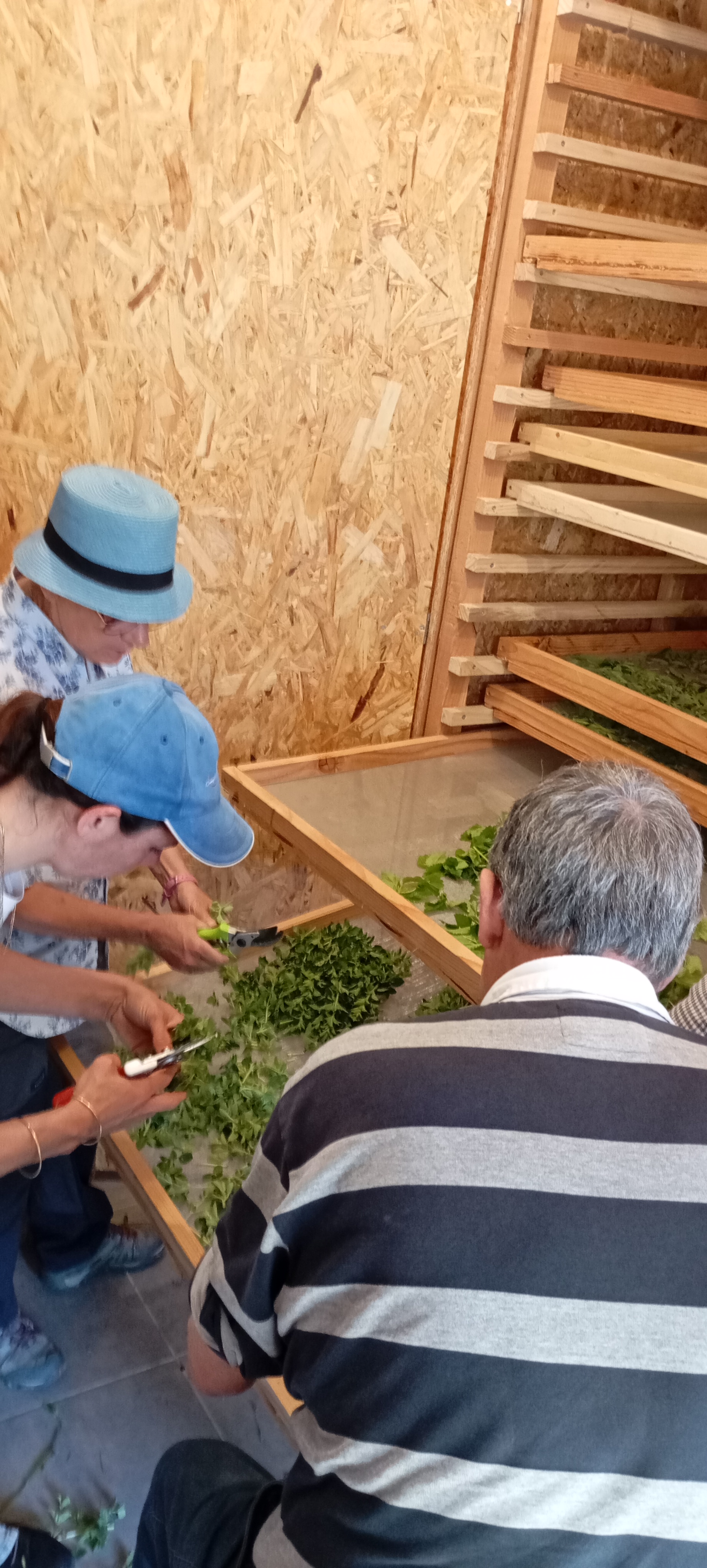 Immersion Naturellement Cévenole