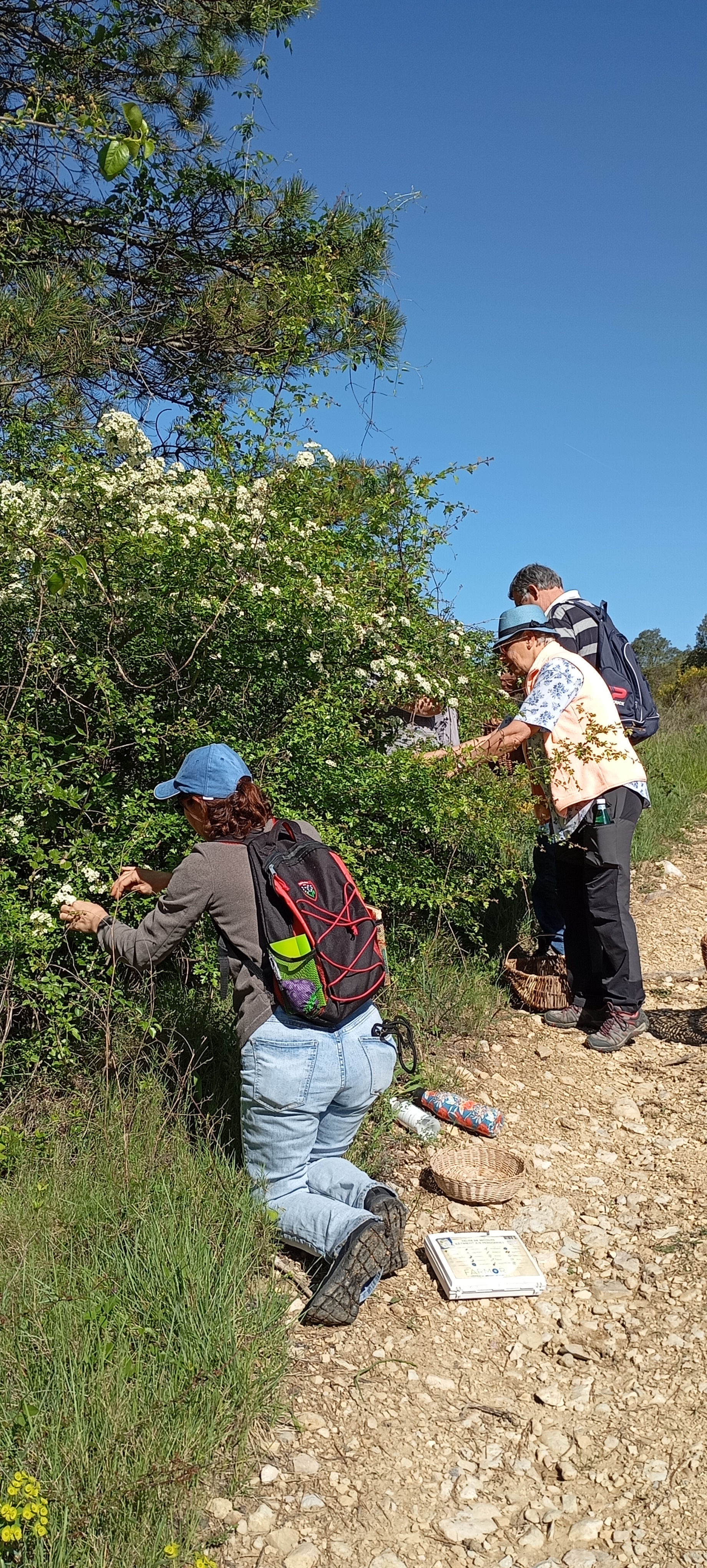 Immersion Naturellement Cévenole