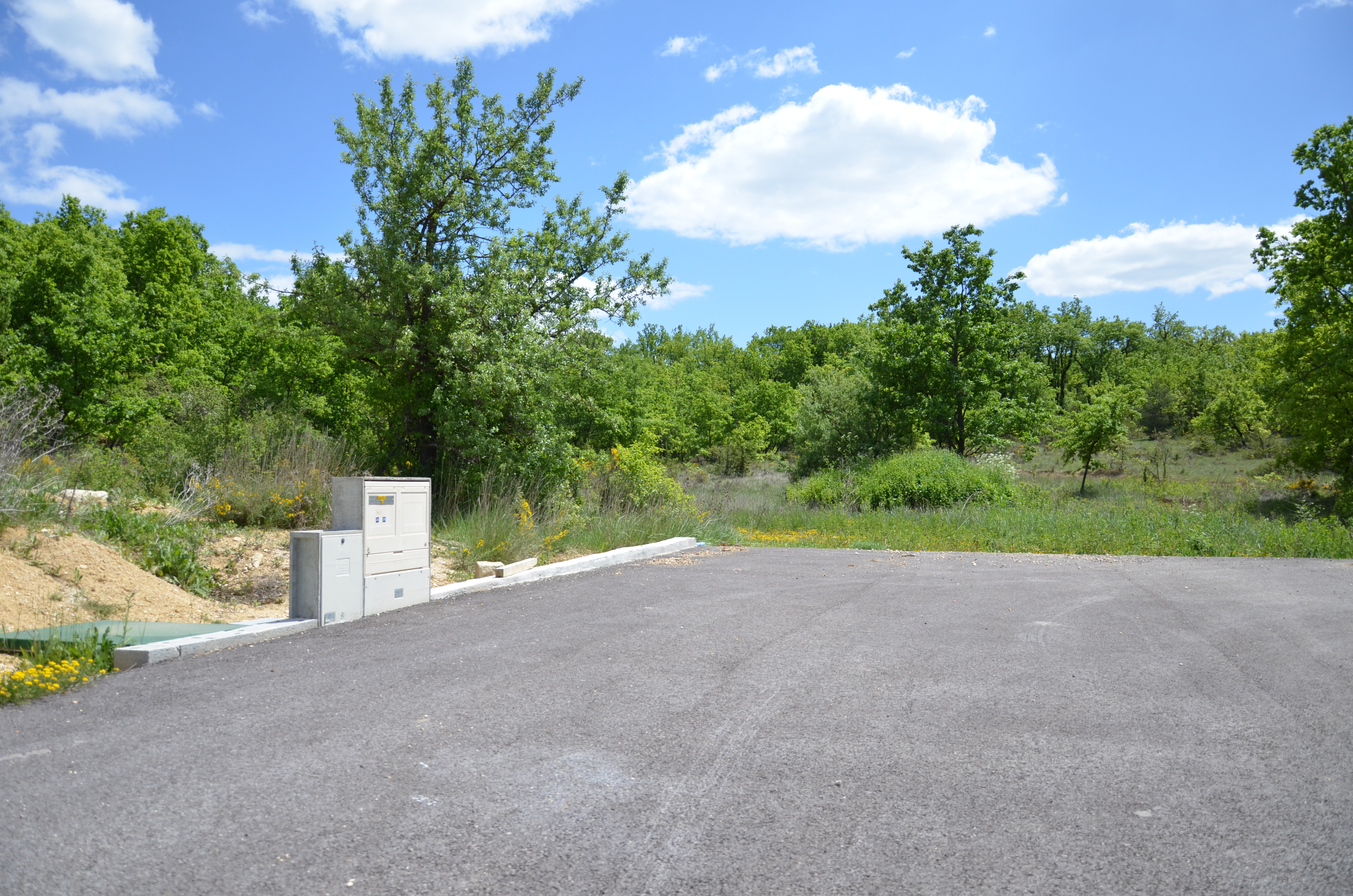 DSC_2569 - Copie.JPG