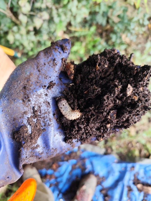 Transfert compost 4