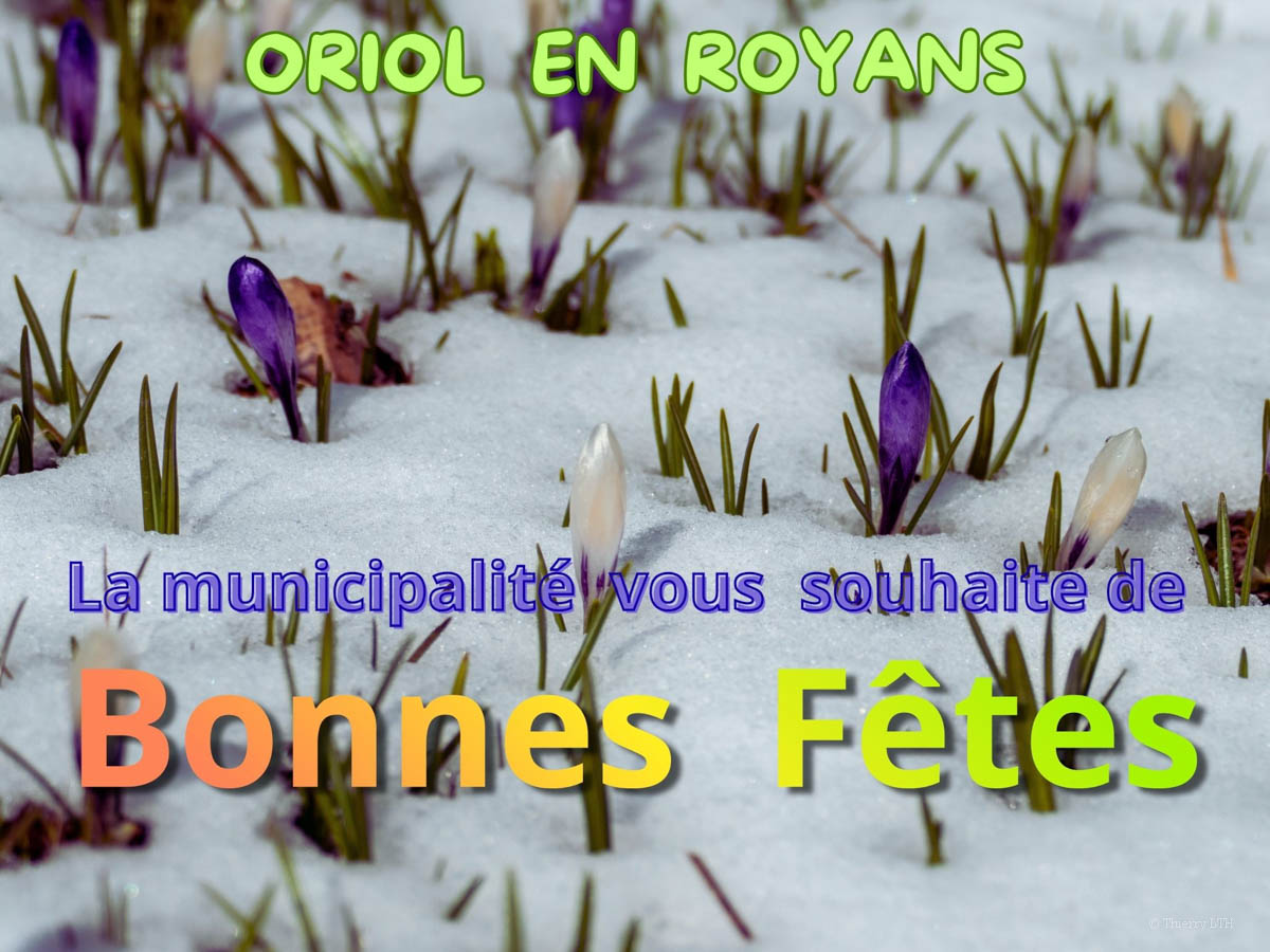 20251223-Bonnes Fêtes.jpg