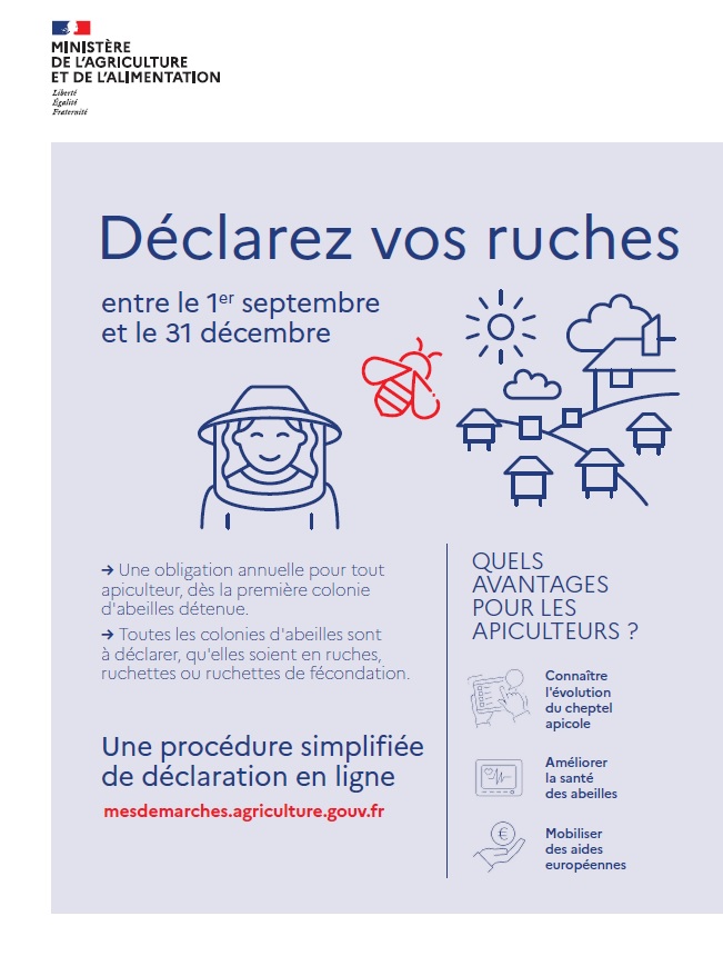 déclaration ruches.jpg