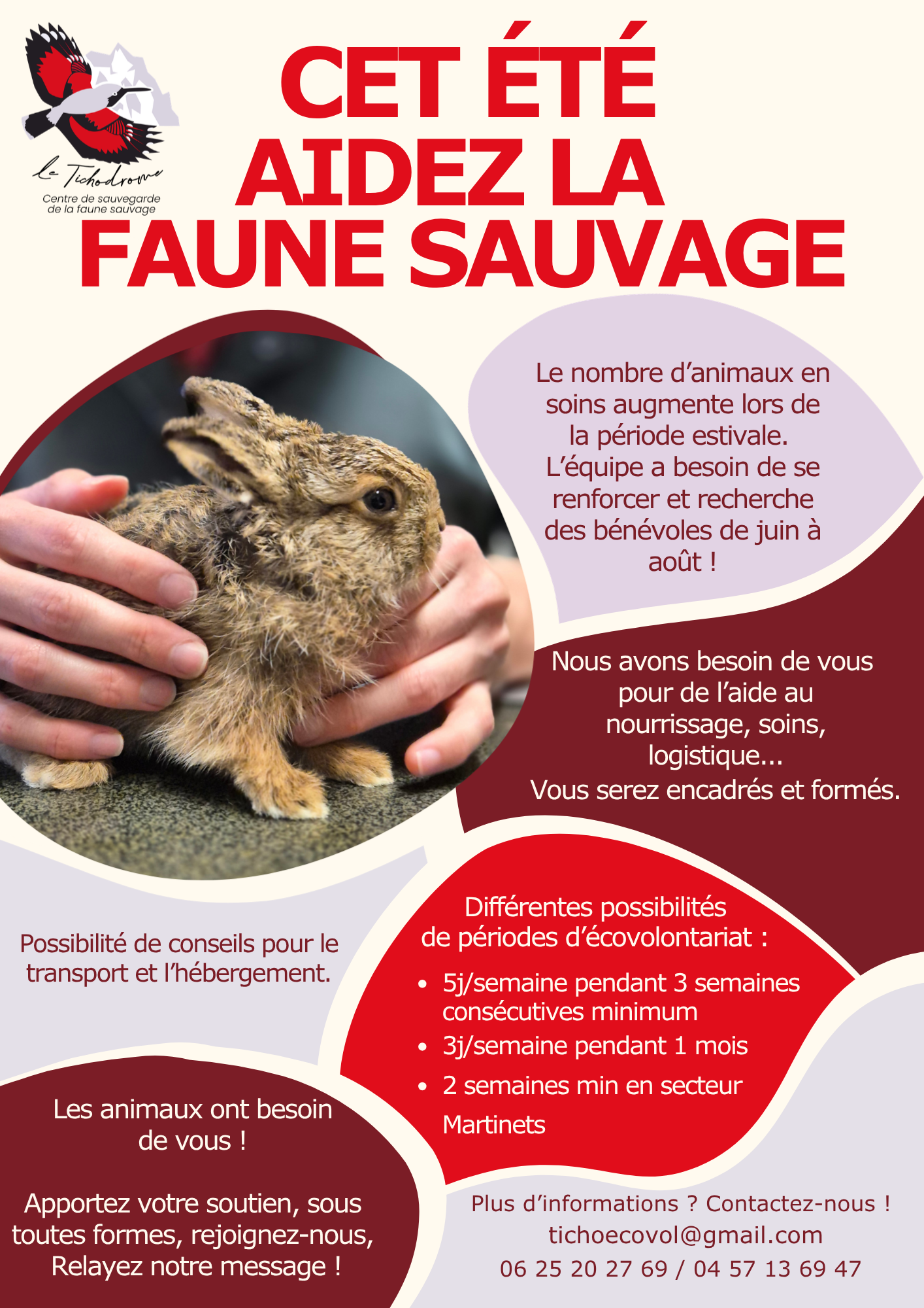affiche 2026 EV 3 semaines.png