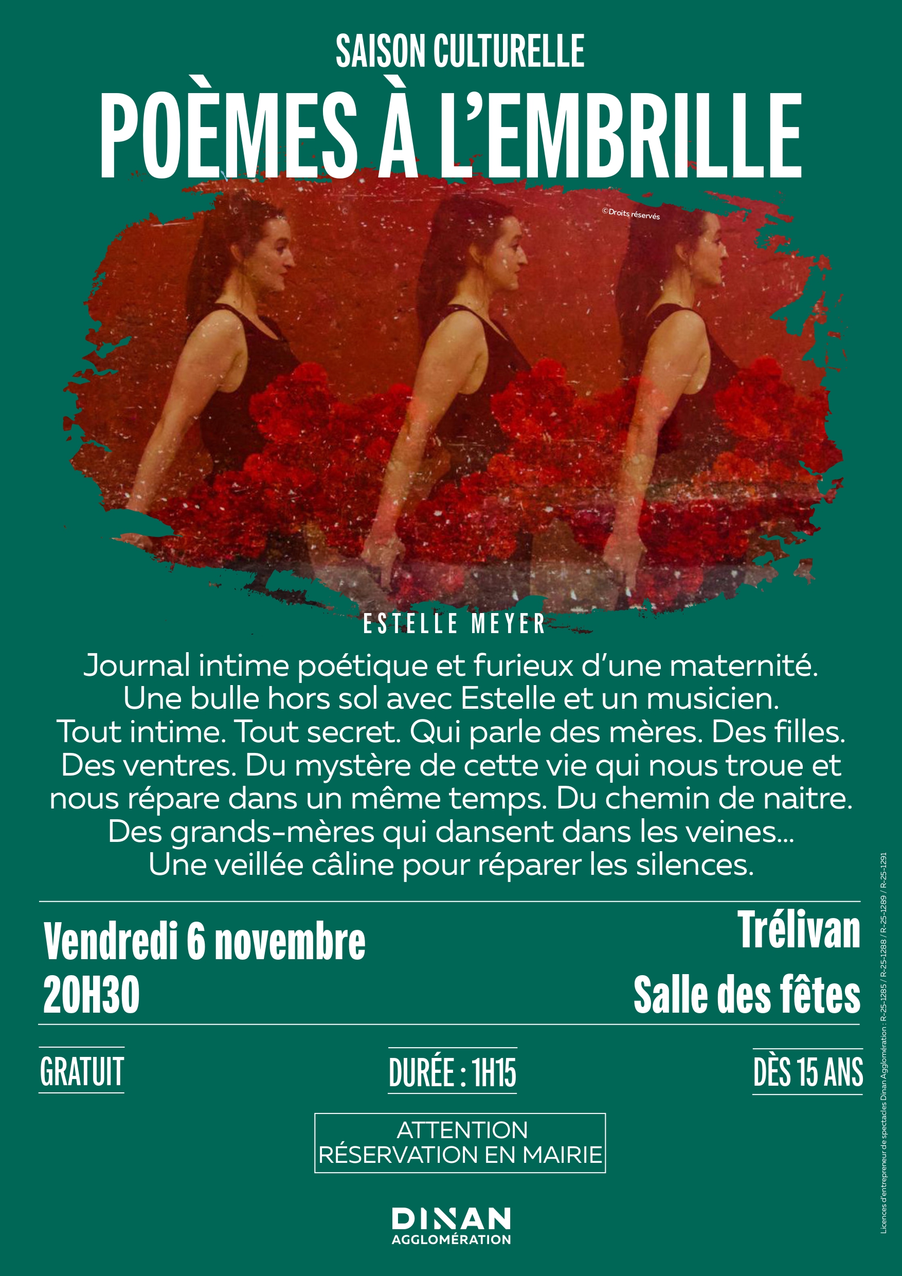 affiche poèmes à l_embrille trélivan.jpg