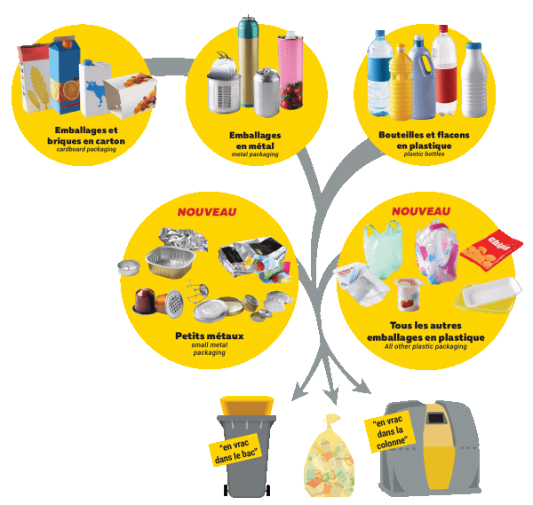 IMAGE SACS JAUNES.png