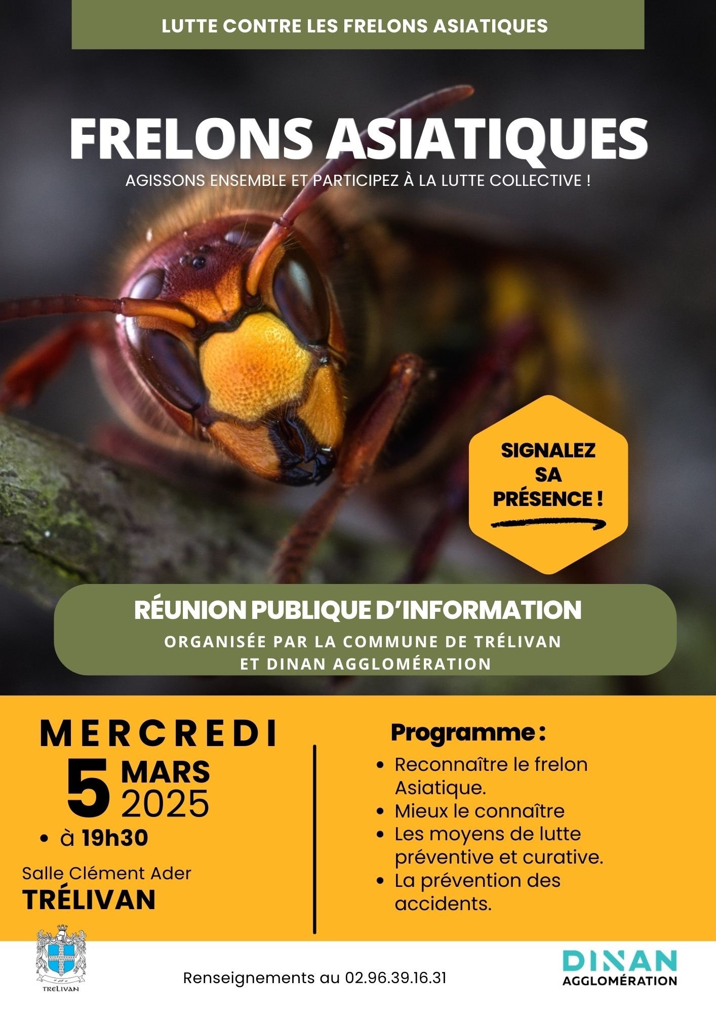 FRELONS ASIATIQUES.jpg