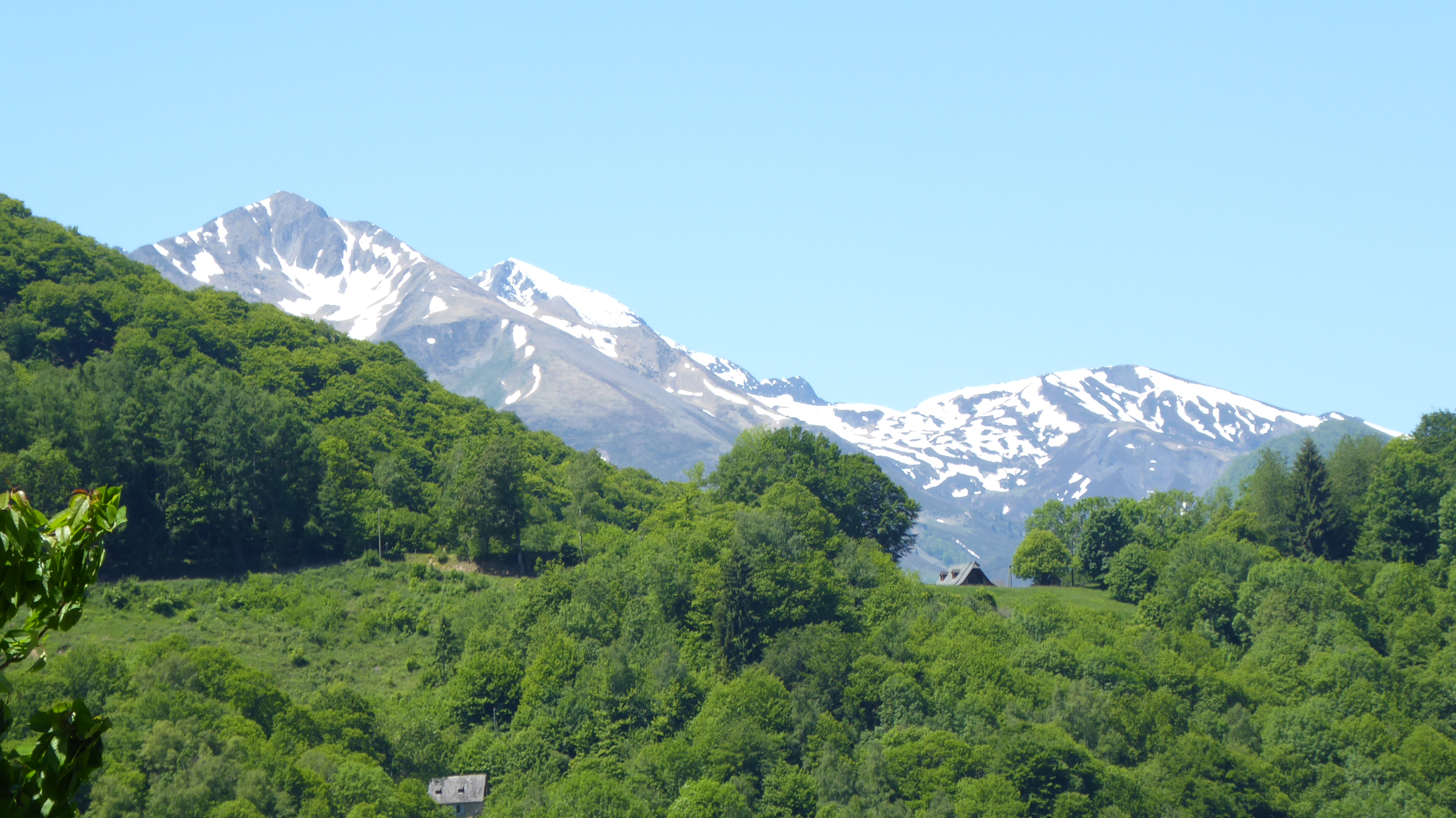Montgailhard mai 2019 _114_.JPG