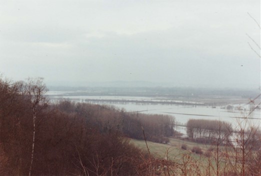 inon1994A.jpeg