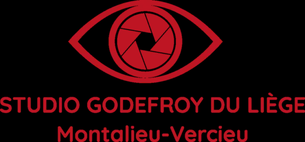 STUDIO GODEFROY DU LIEGE.png