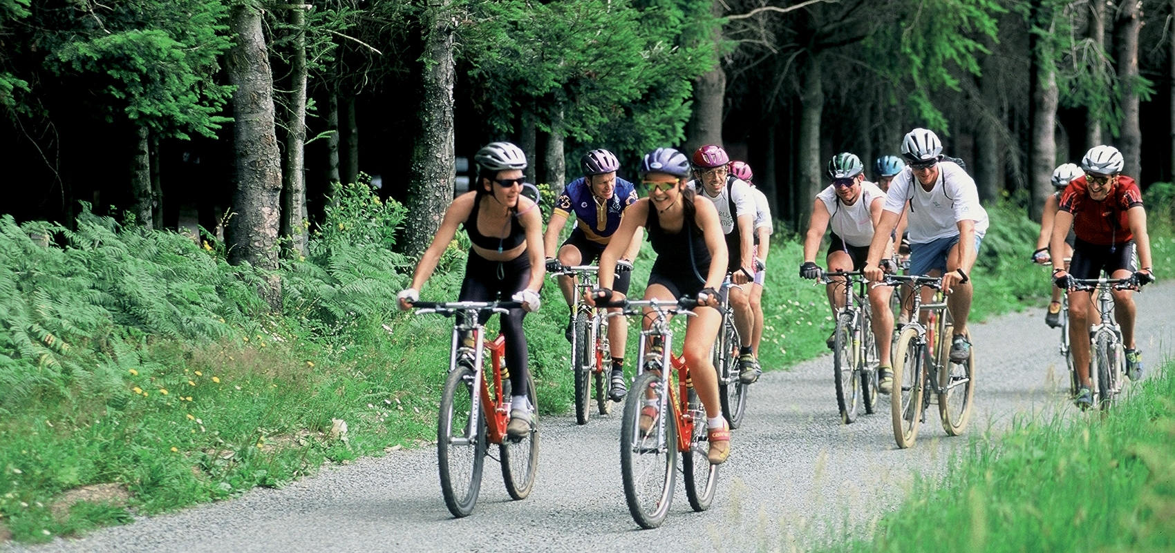 Vélos décor site