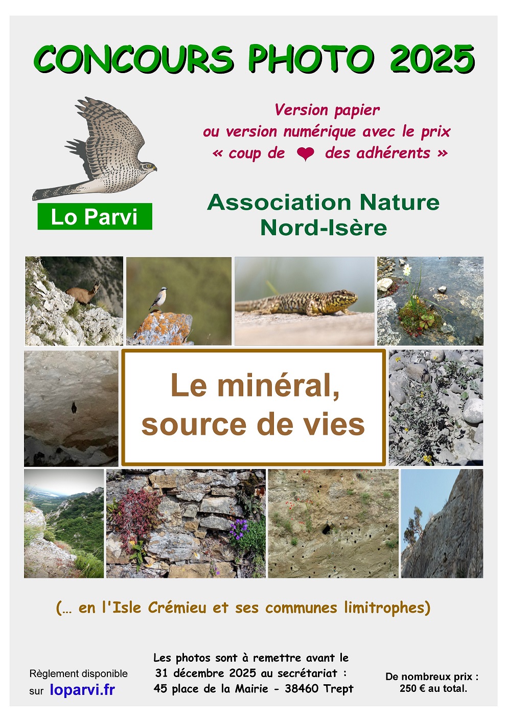 LO PARVI - le minéral.jpg