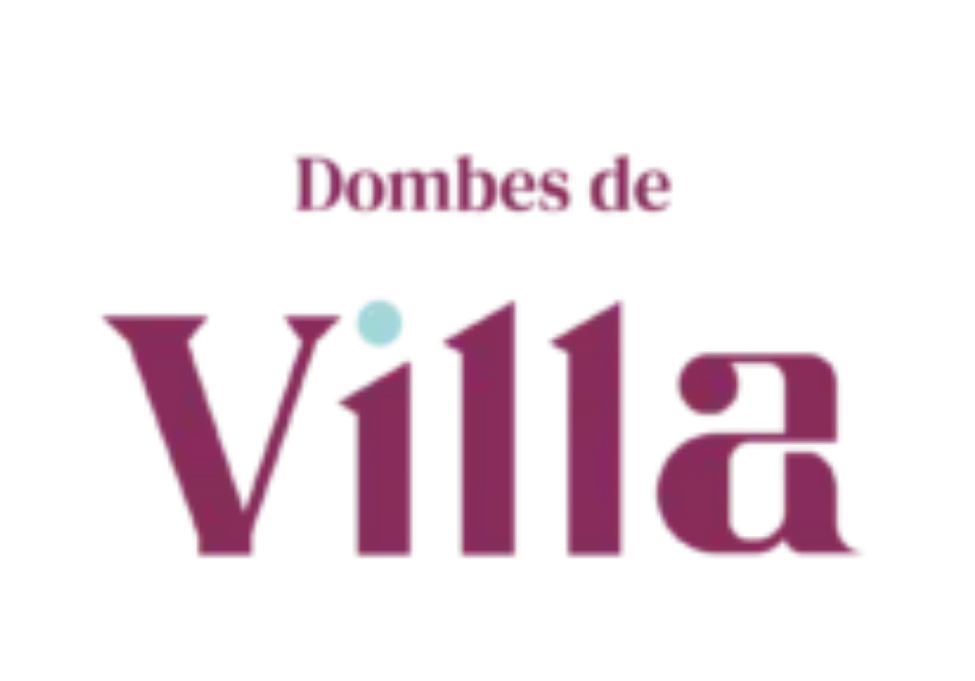 DE VILLA.png