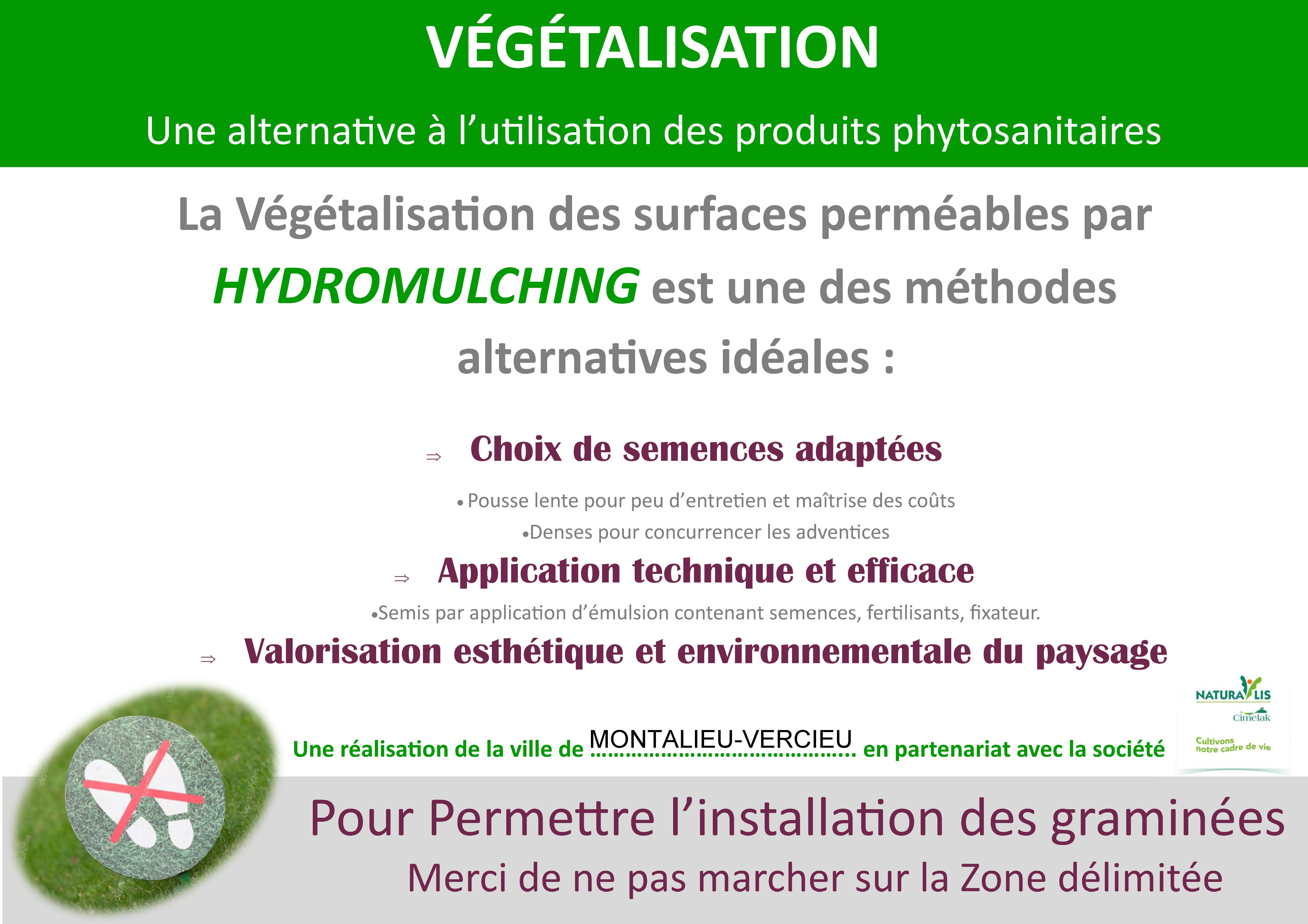 Végétalisation Cimetière affiche.jpg