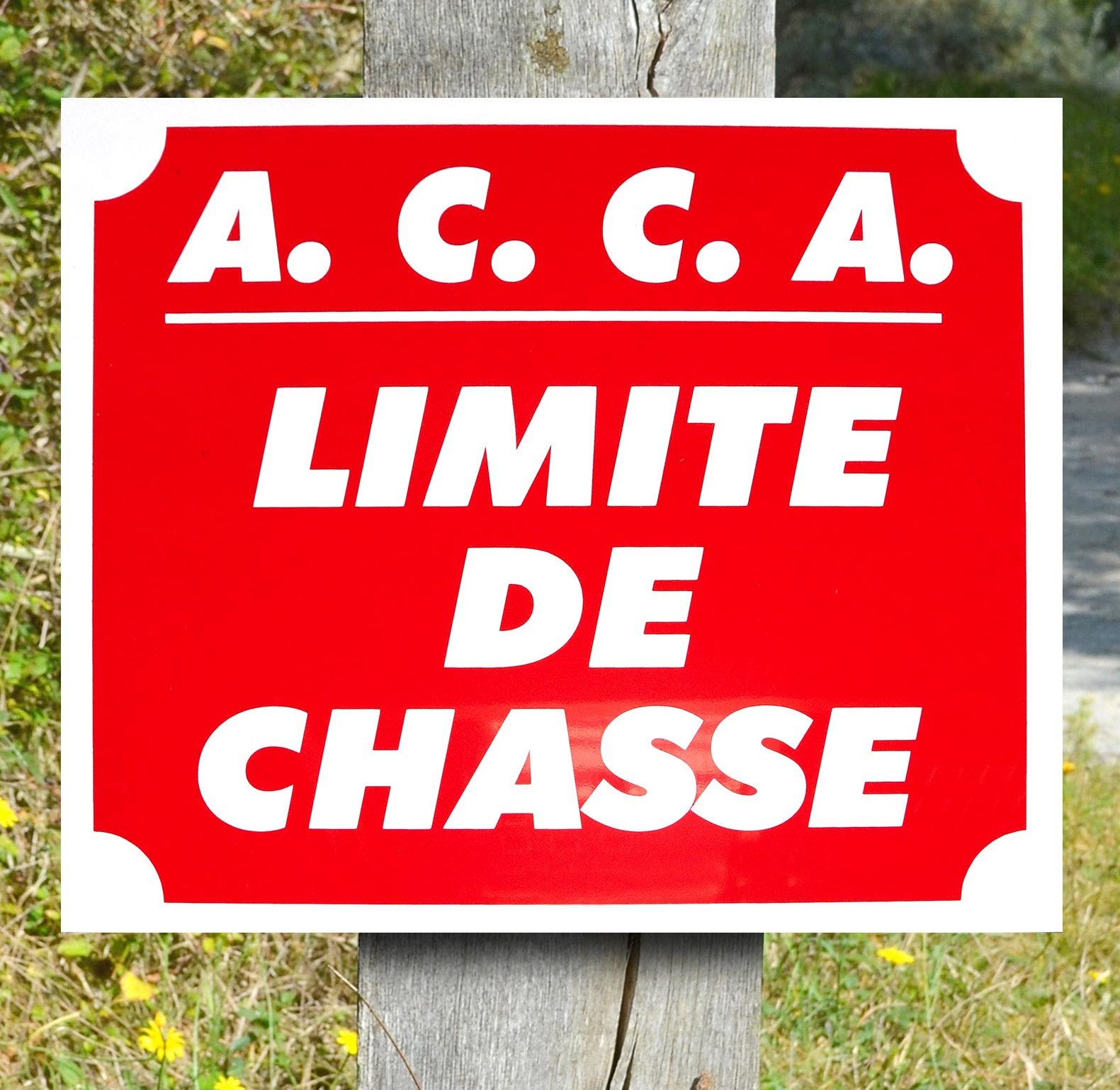 acca-limite-de-chasse.jpg