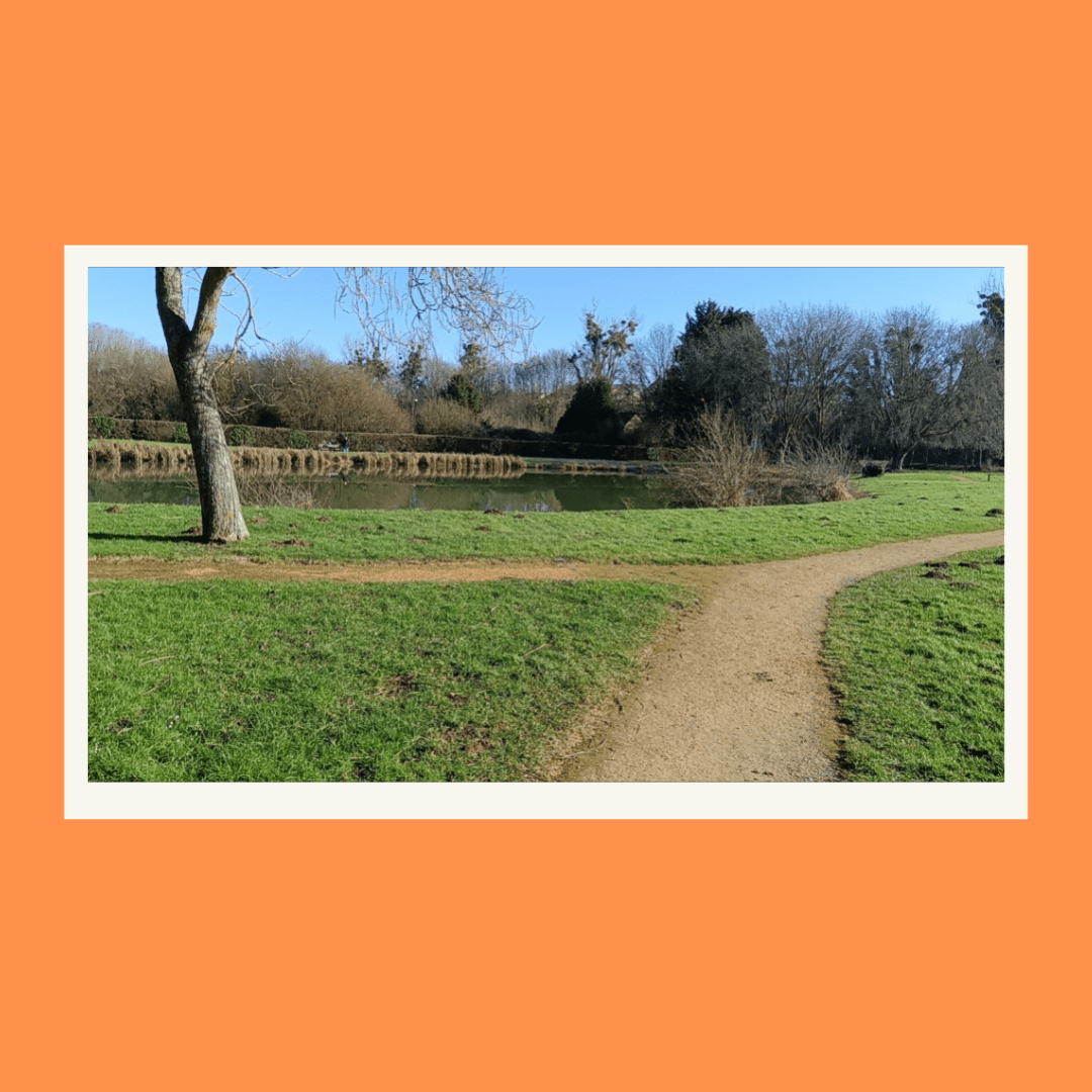 CP - Concours photo 7.png