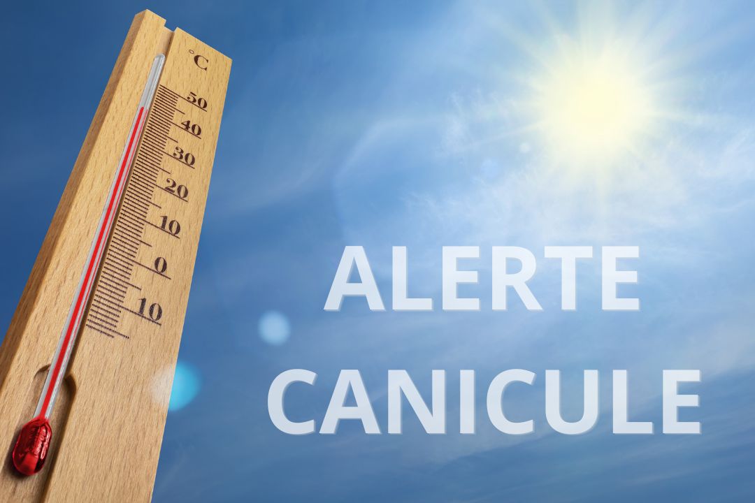 alerte canicule.jpg