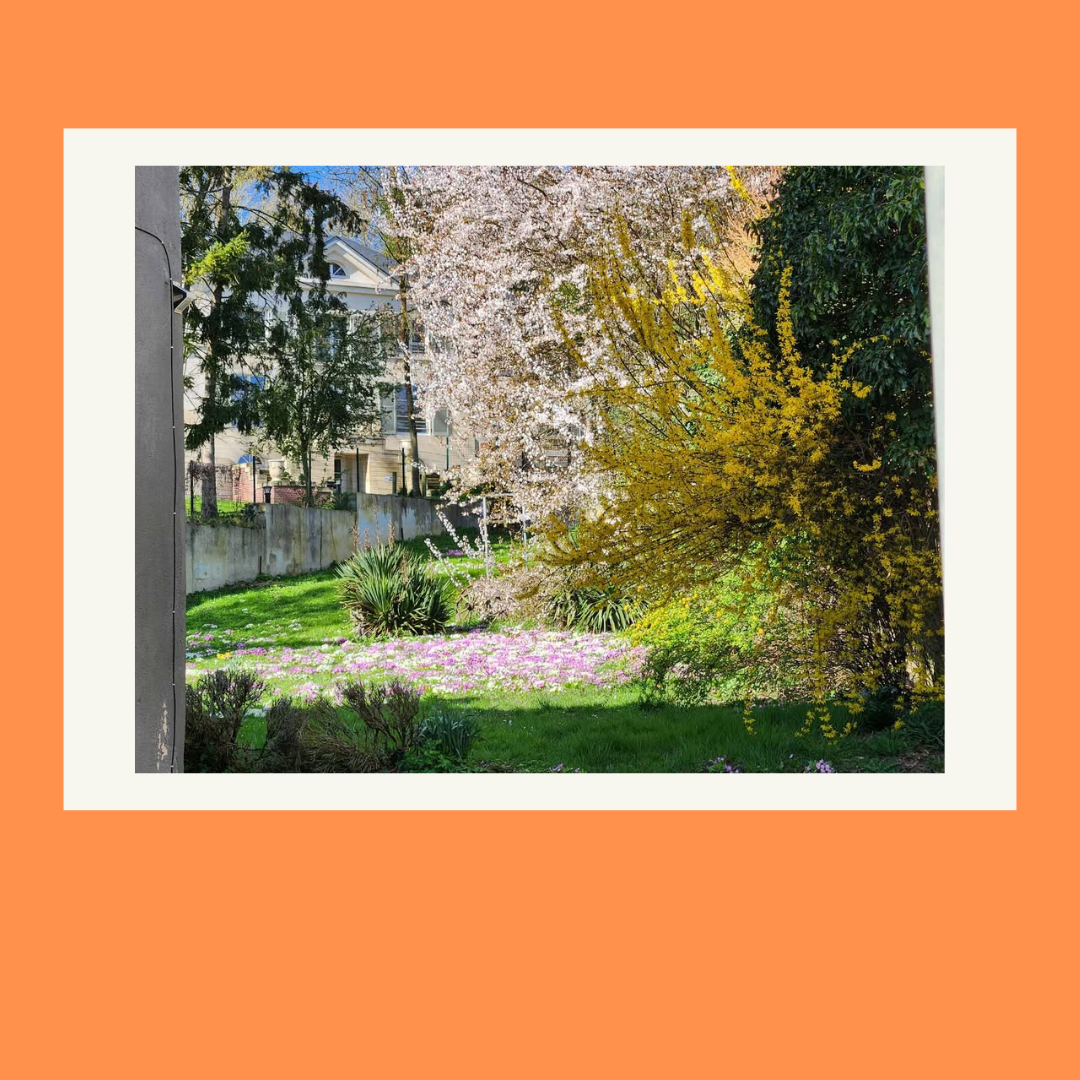 CP - Concours photo 8.png