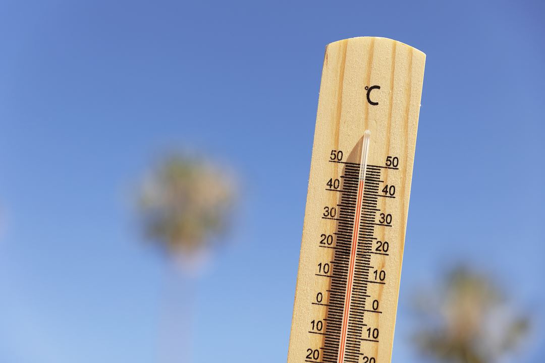 alerte-canicule.jpg