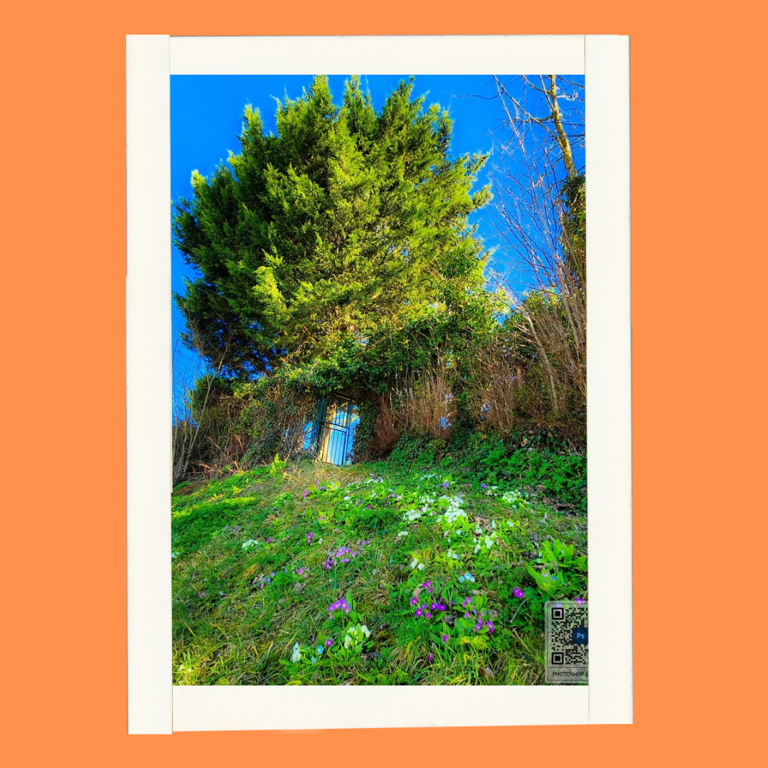C.P - Concours photo.png
