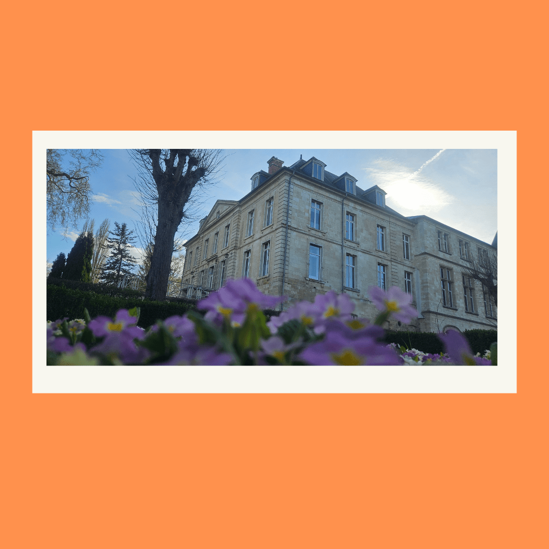 CP - Concours photo 6.png
