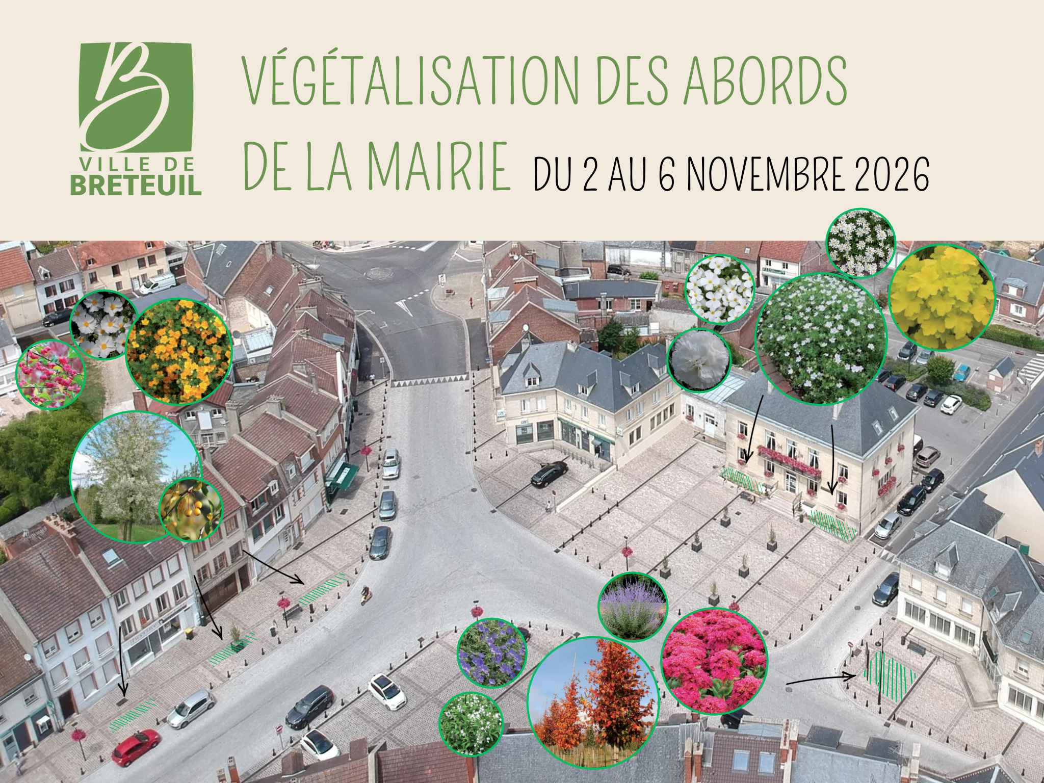 plan végétalisation abords de la Mairie.jpg