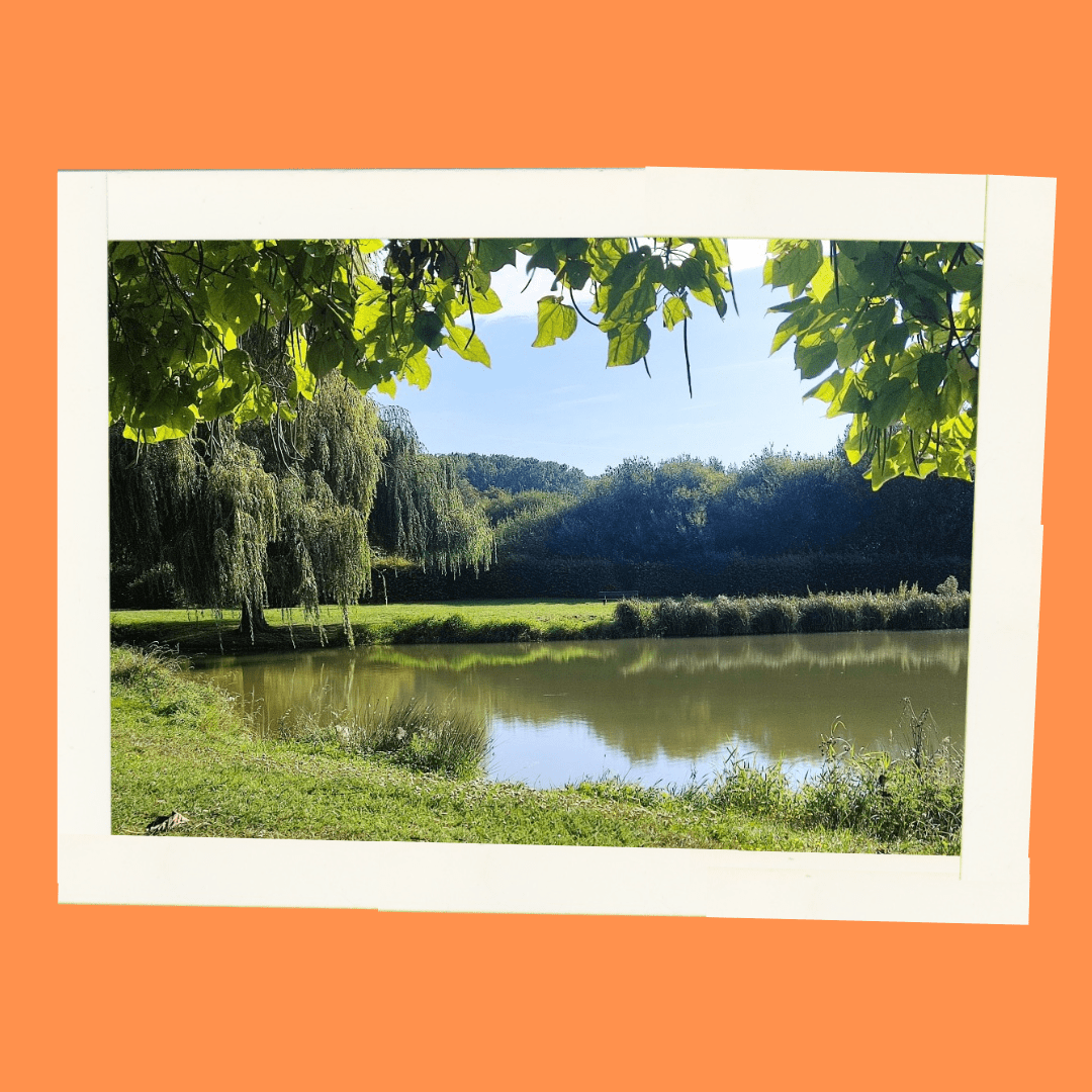 C.P - Concours photo 3.png