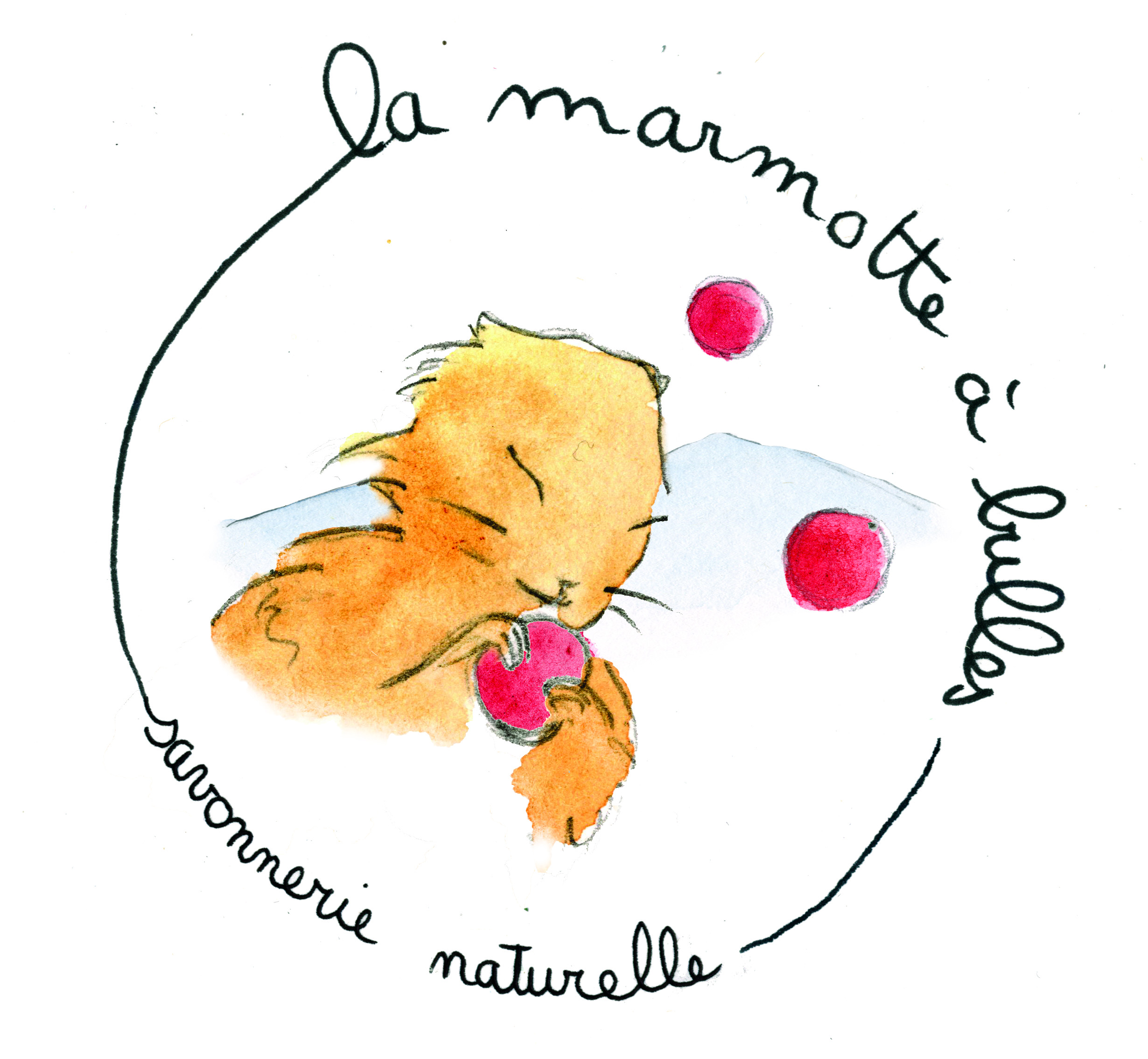 Logo Marmotte à bulles def pour impression.jpg