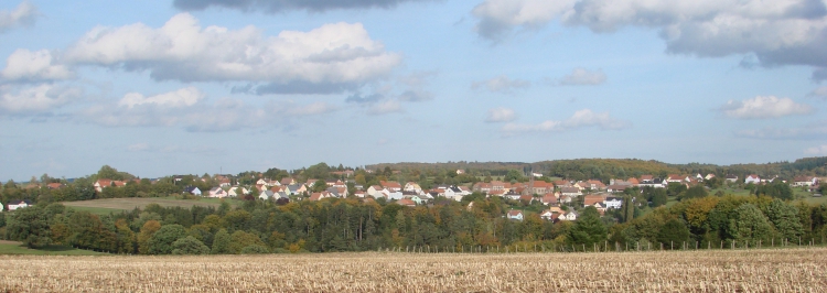 D4V_Vue des champs.jpg