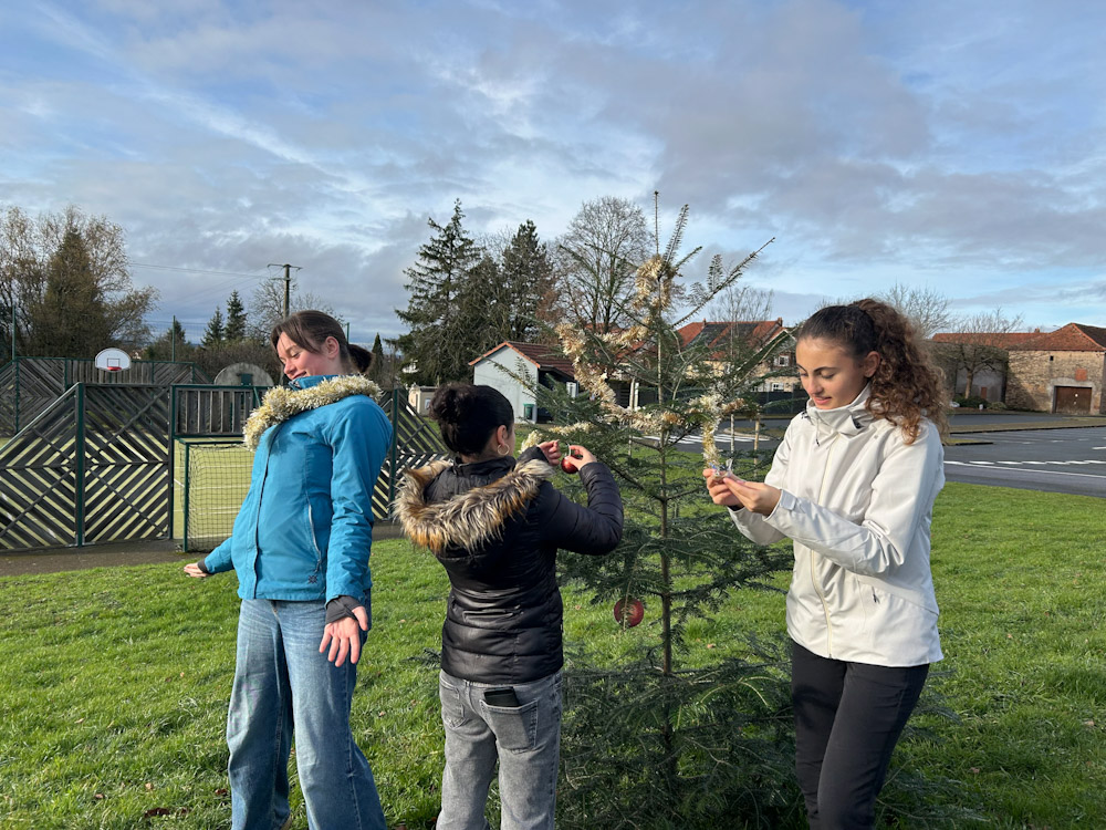 2025 Novembre, Déco Noel_1_edited.jpg