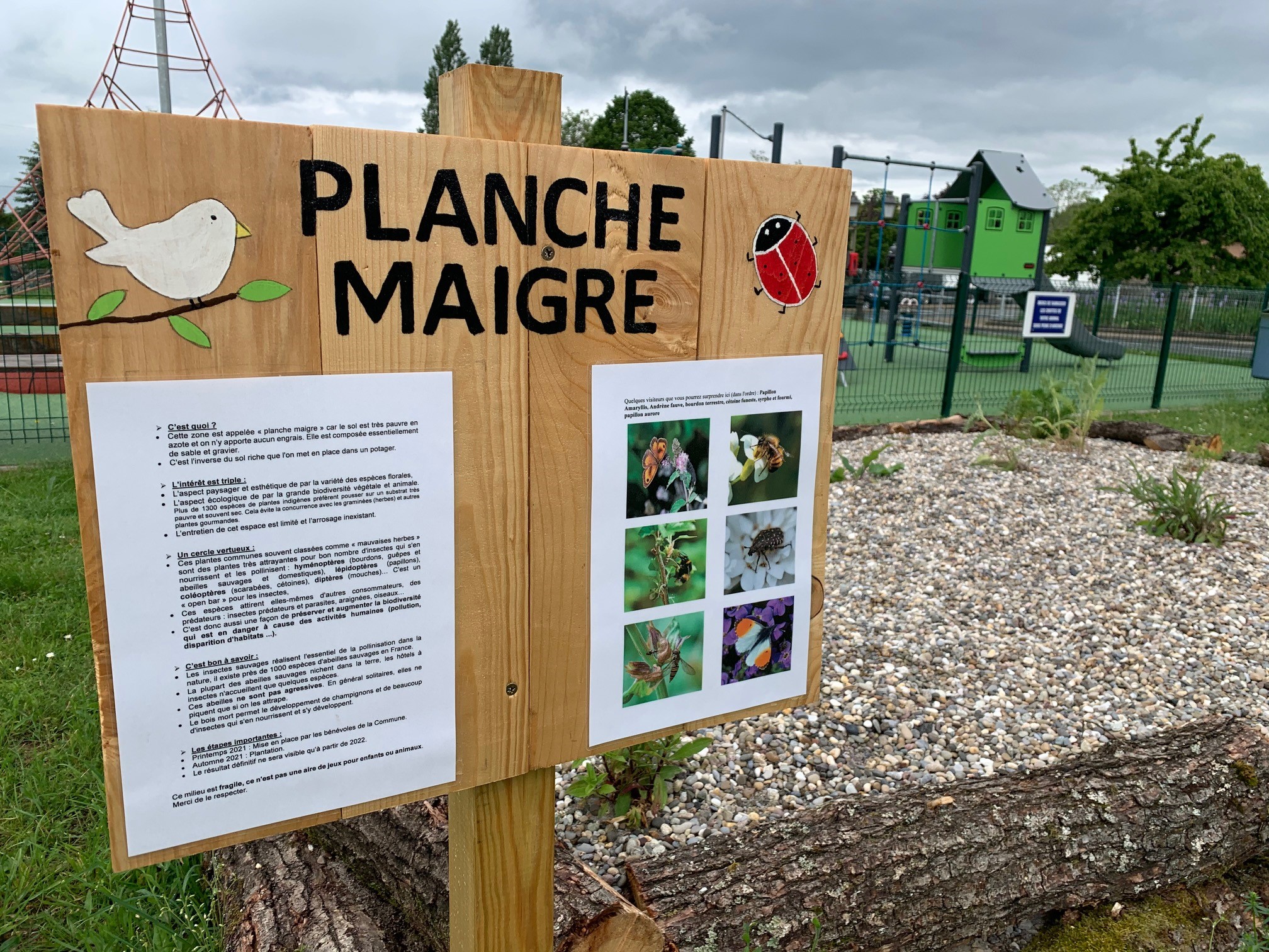 Planche maigre_4.jpg