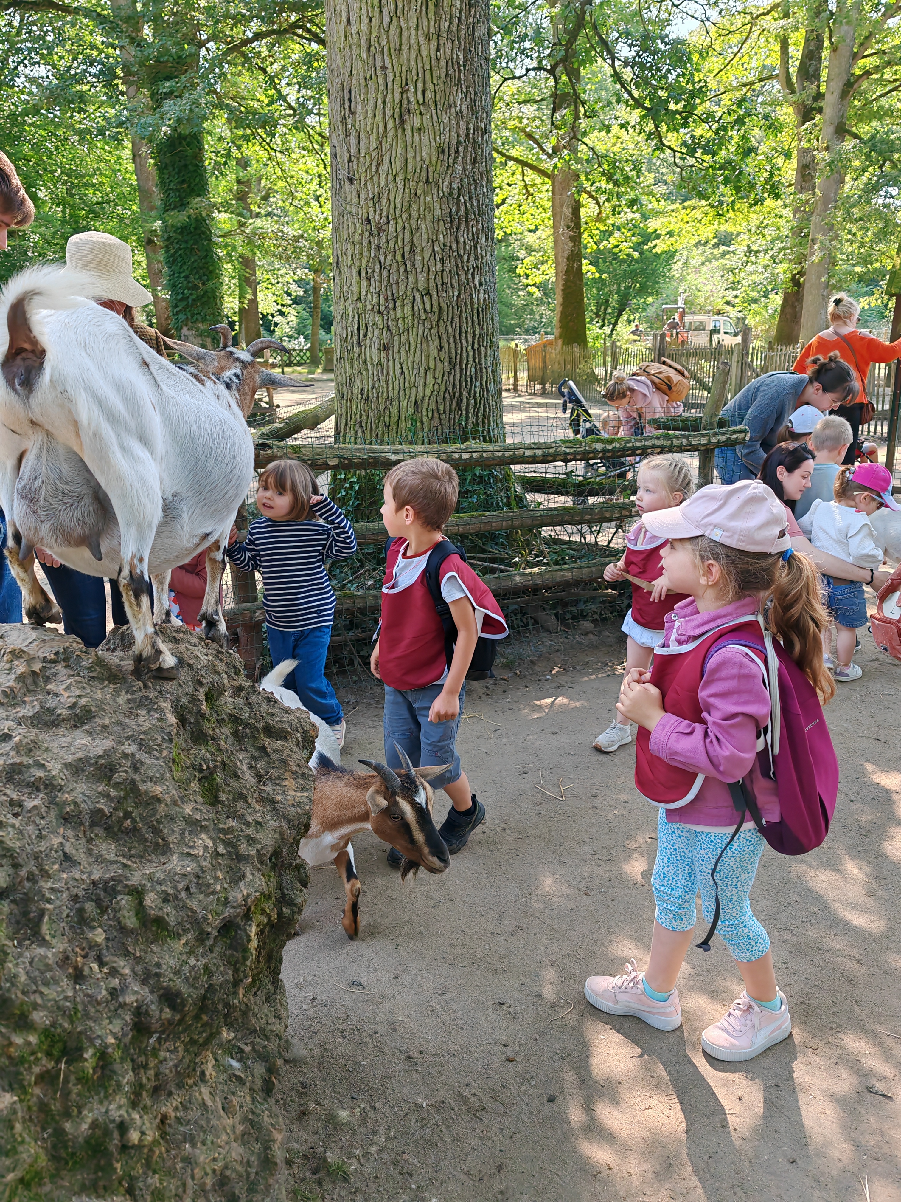 Sortie zoo
