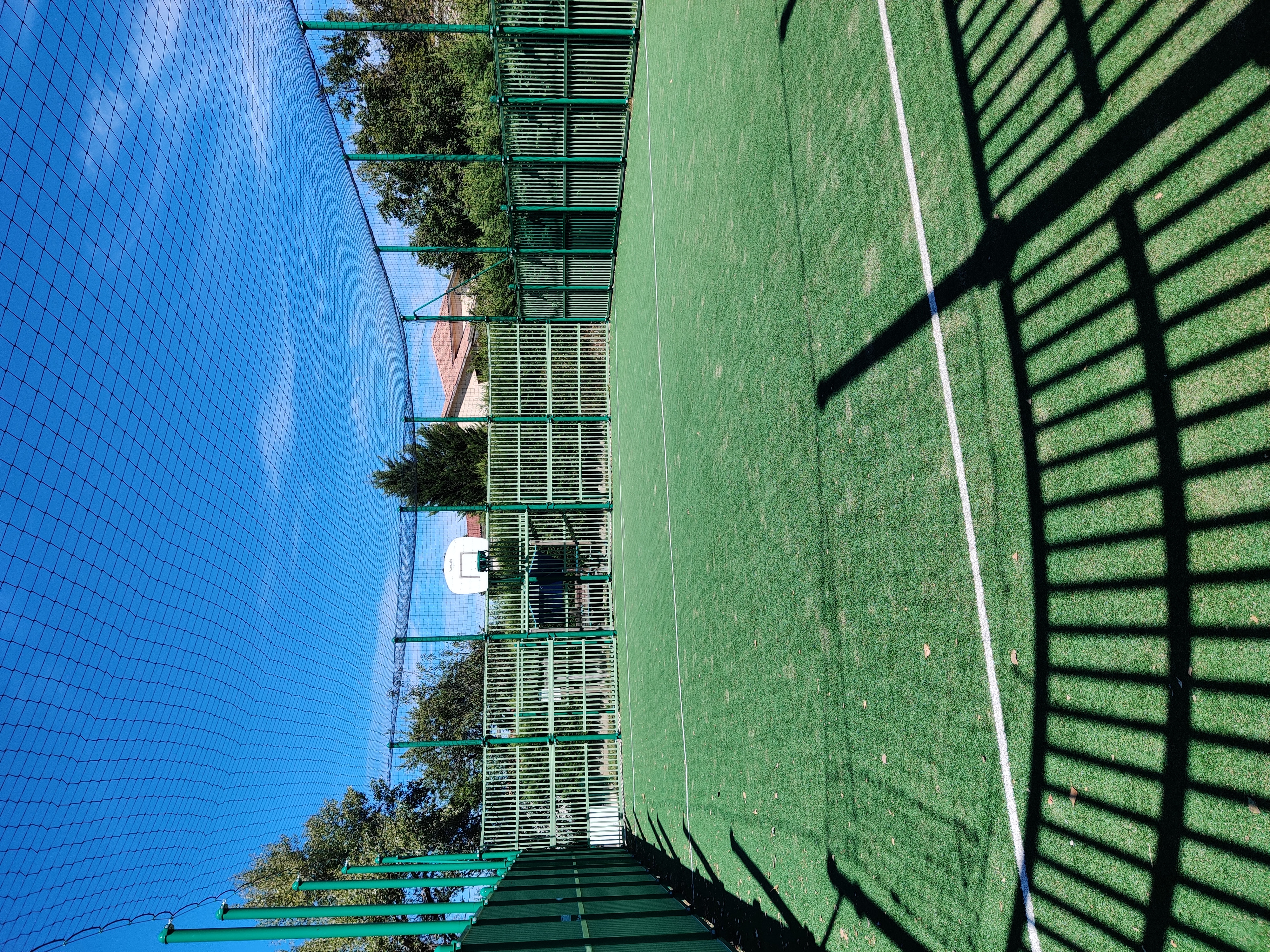 IMG_20220824_152958.jpg