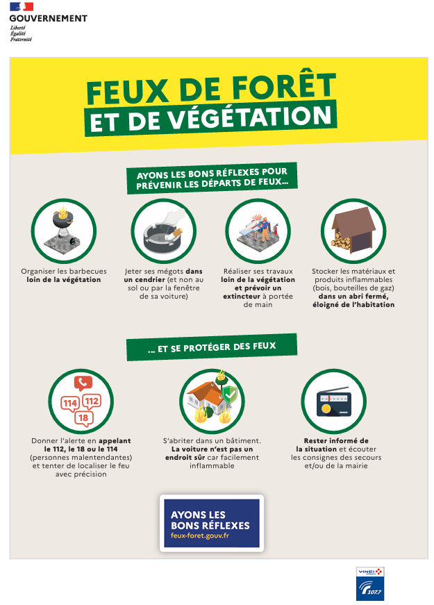 feux de forêt et de vévégtation.png