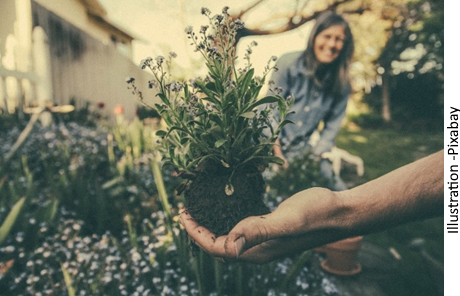 fleurrissement - plantation.png