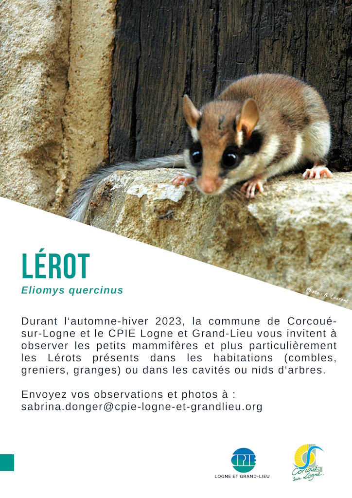 Lerot-p1.jpg