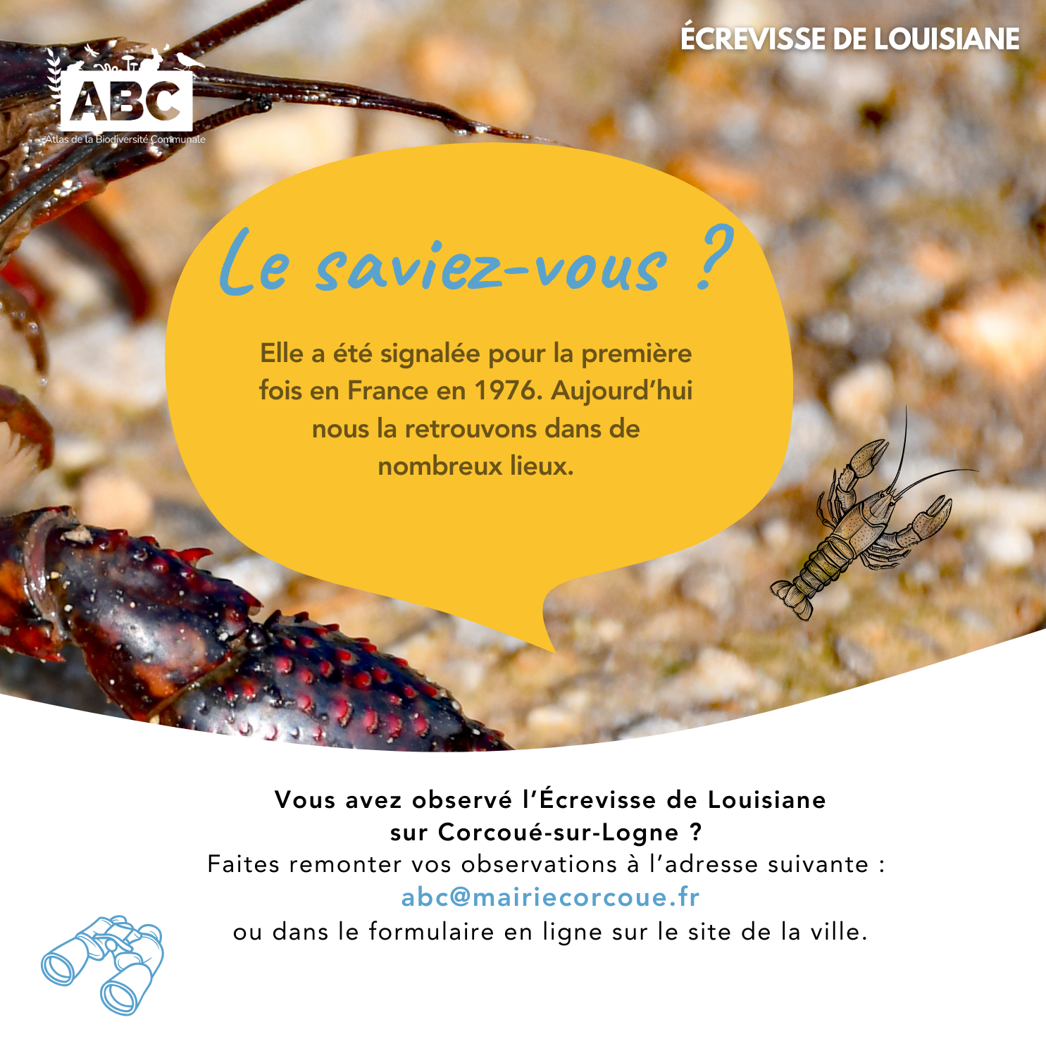 ecrevisse5.png