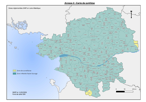 Influenza Aviaire Hautement Pathogène (IAHP) - Arrêté préfectoral n° DDPP/SPA/2026/N°075