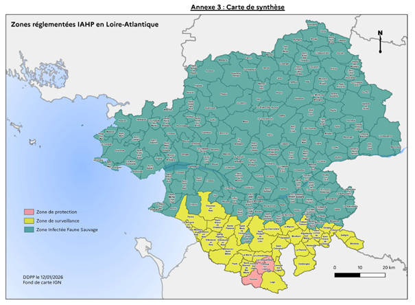 Influenza 12.01.26.png