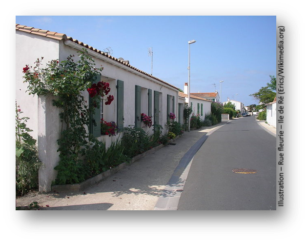 fleurrissement - rue ile ré.png