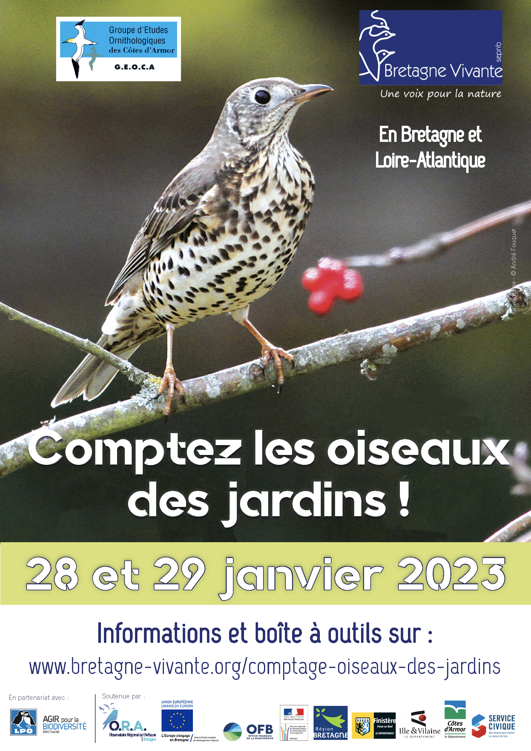 comptez-oiseaux.png