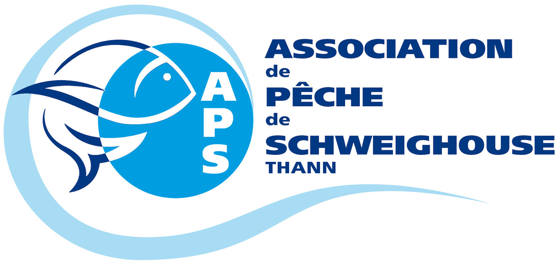 APS logo 2.jpg