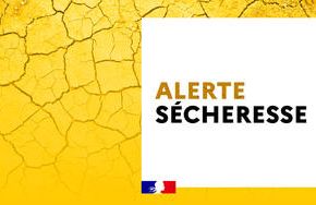 csm_Secheresse-dans-le-Rhone_large_f5895ace90.jpg