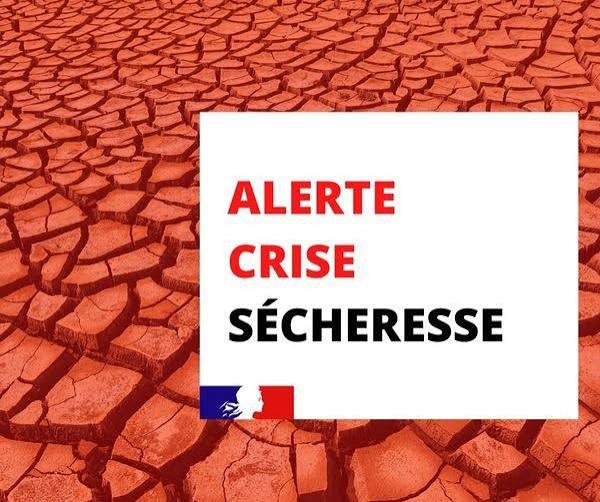 secheresse.jpg