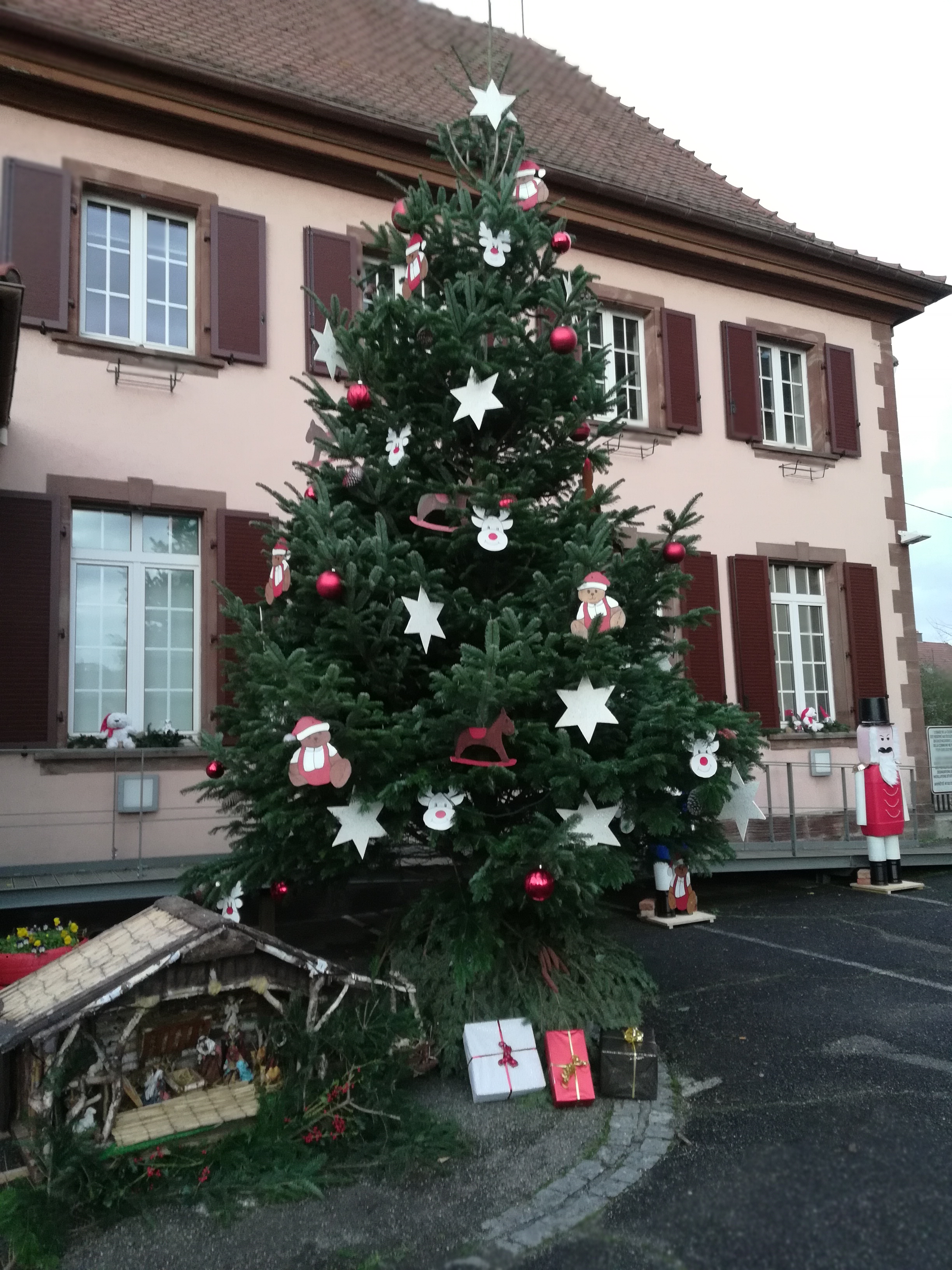 PHOTO 7 SAPIN SCHWEIGHOUSE.jpg