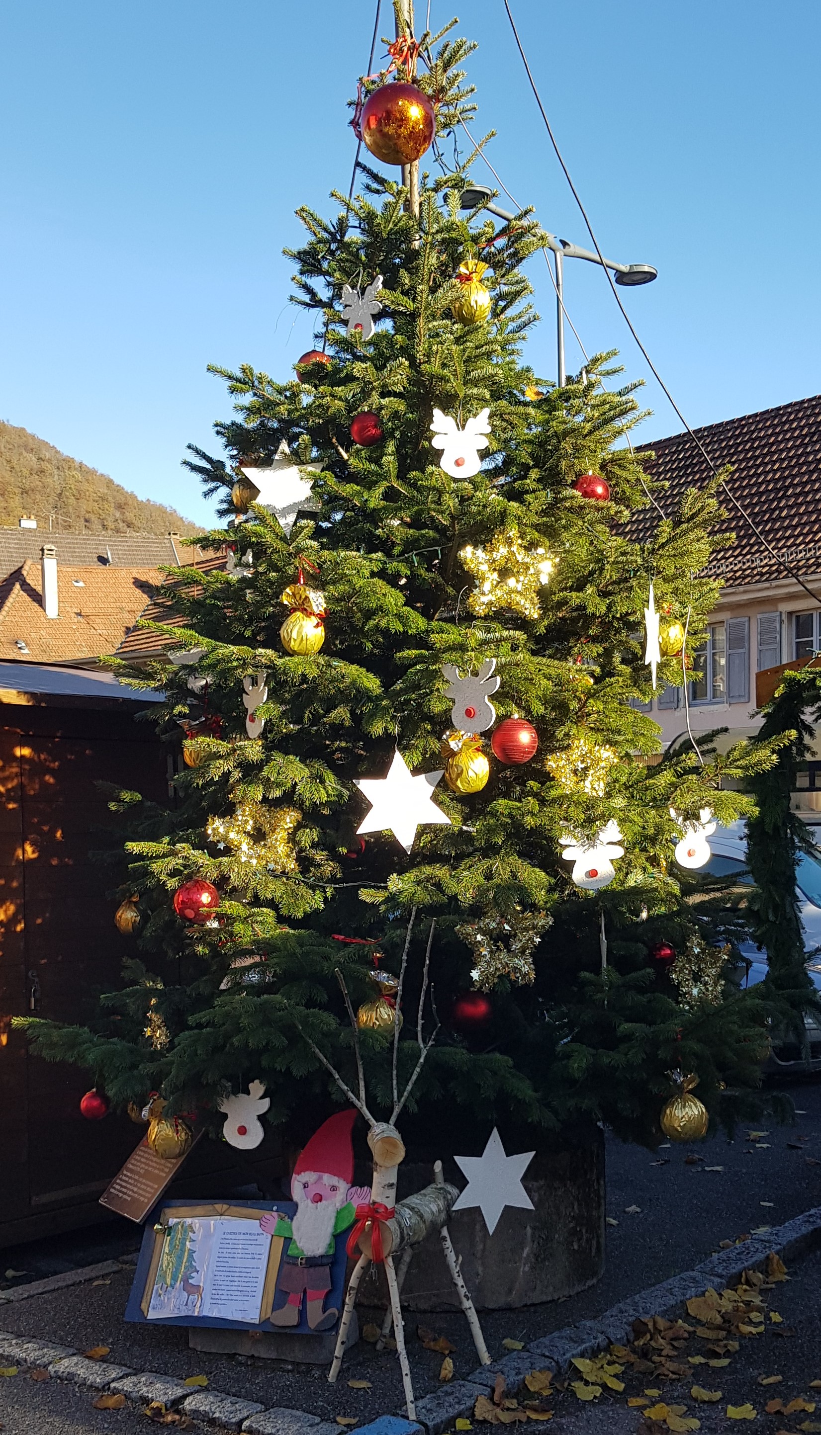 Sapin Thann 2023.jpg