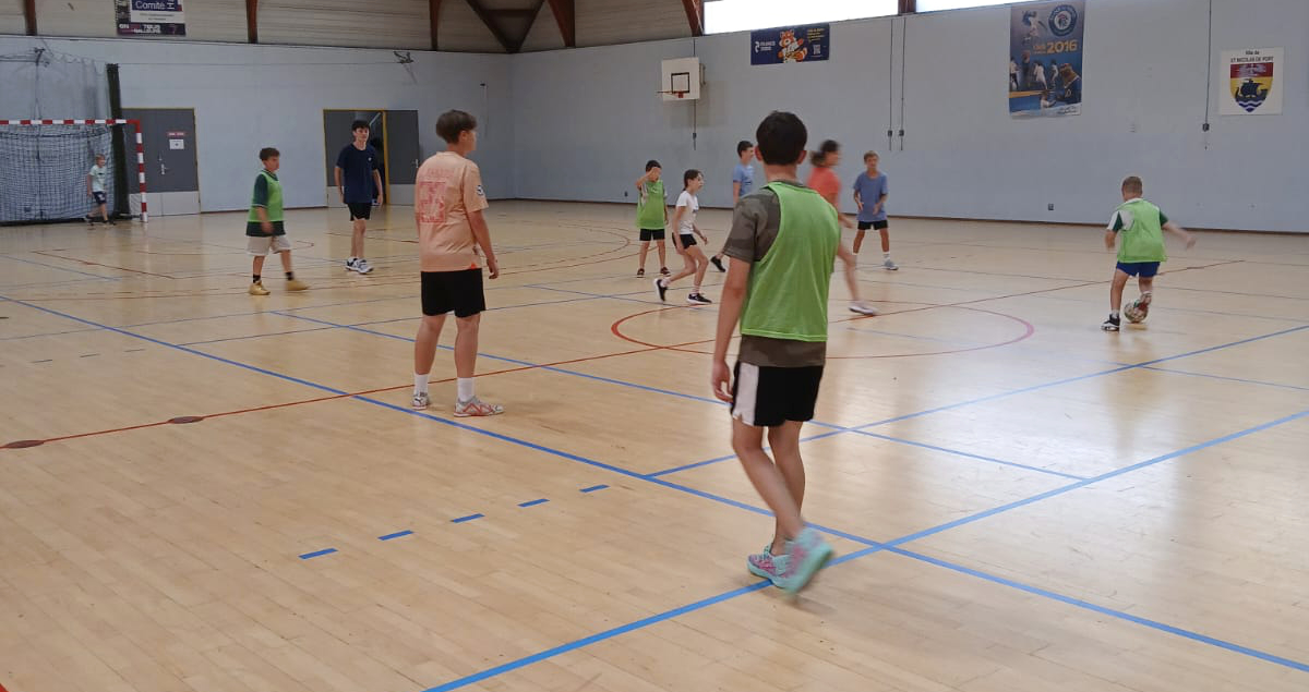 2025 07 18 VACS SPORTOISES 2.jpg