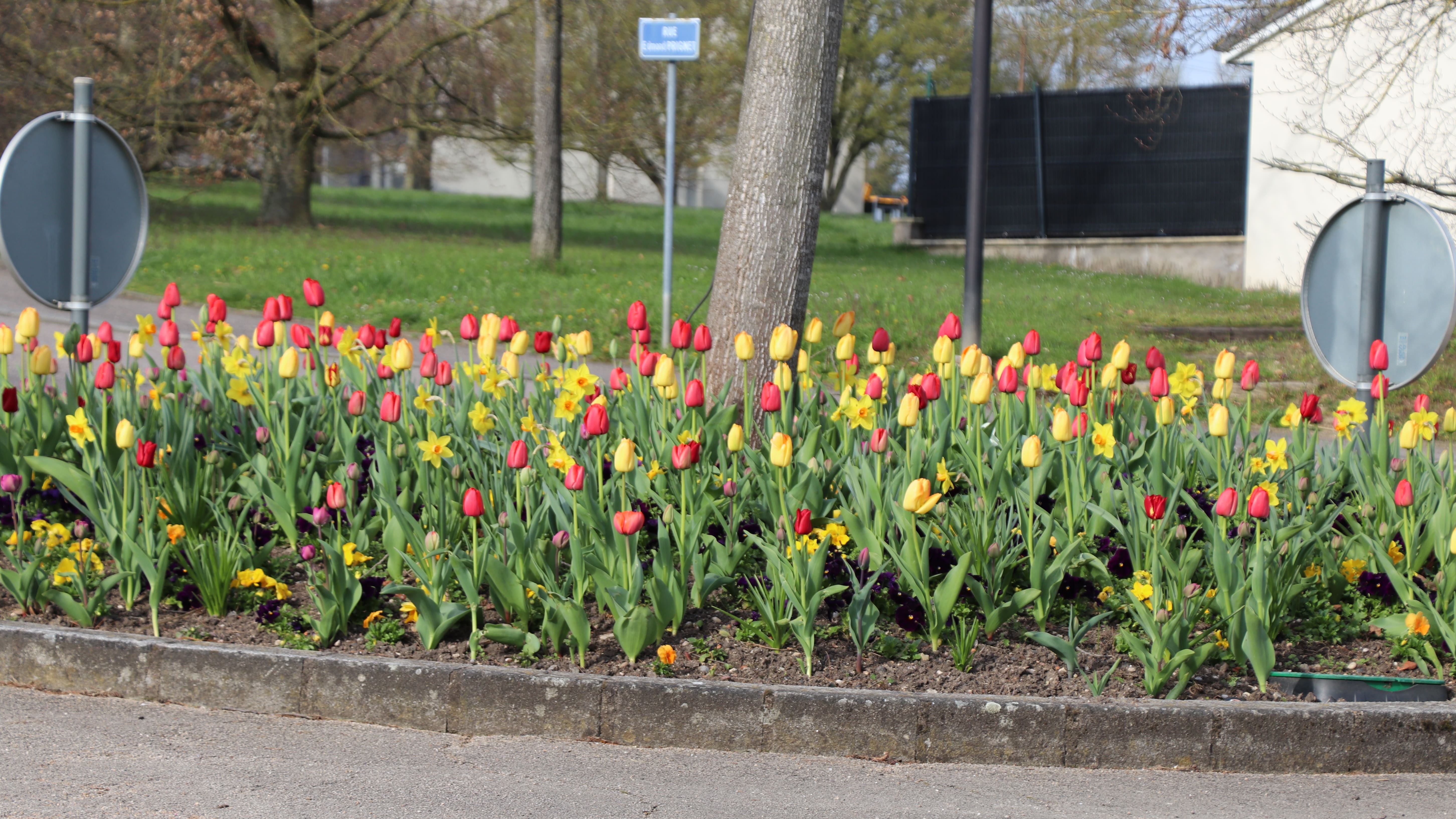 2026 04 23 fleurissement _4_.jpg