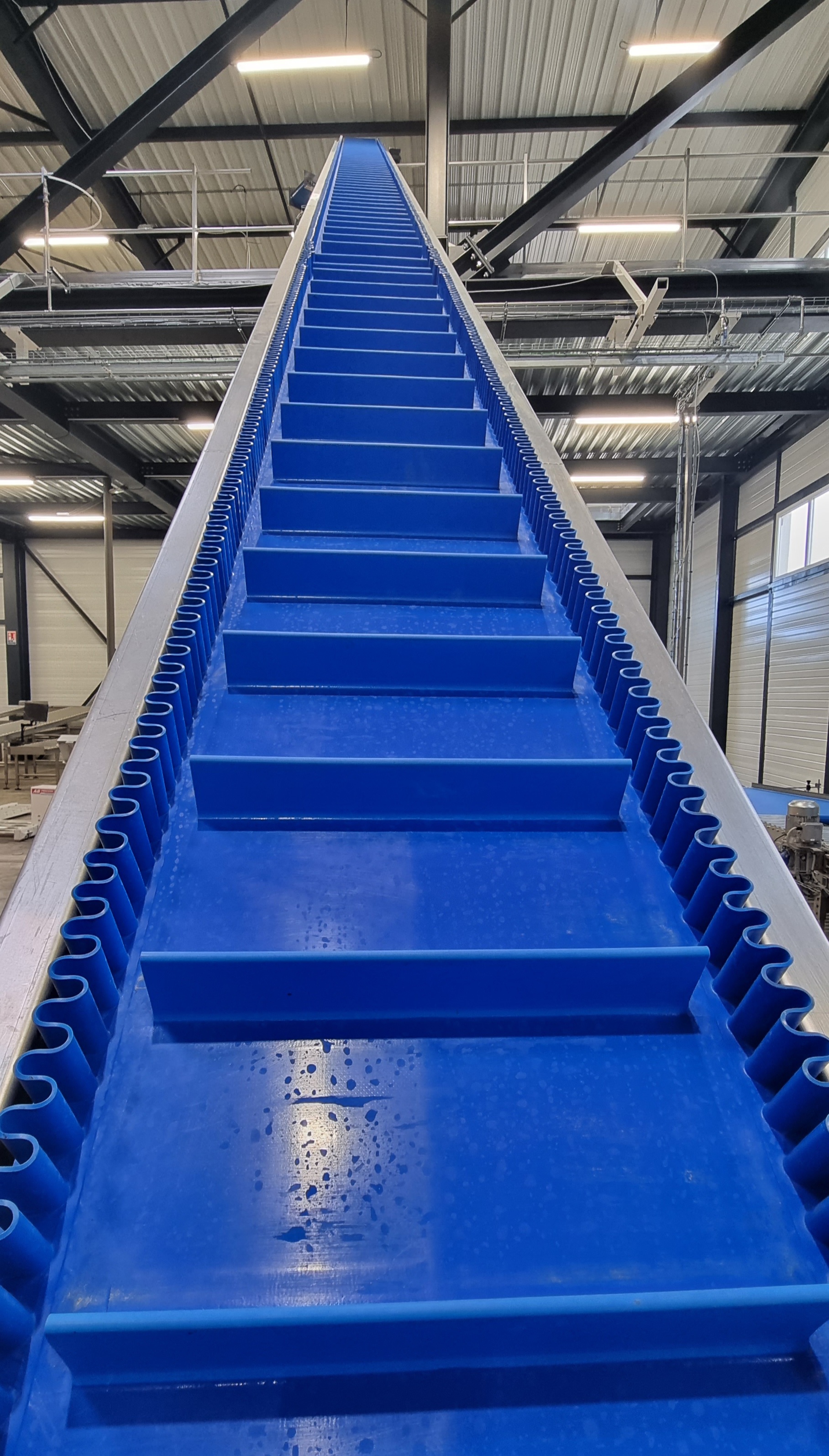 2023 03 20 DIAPO VEGAFRUITS _2_.jpg