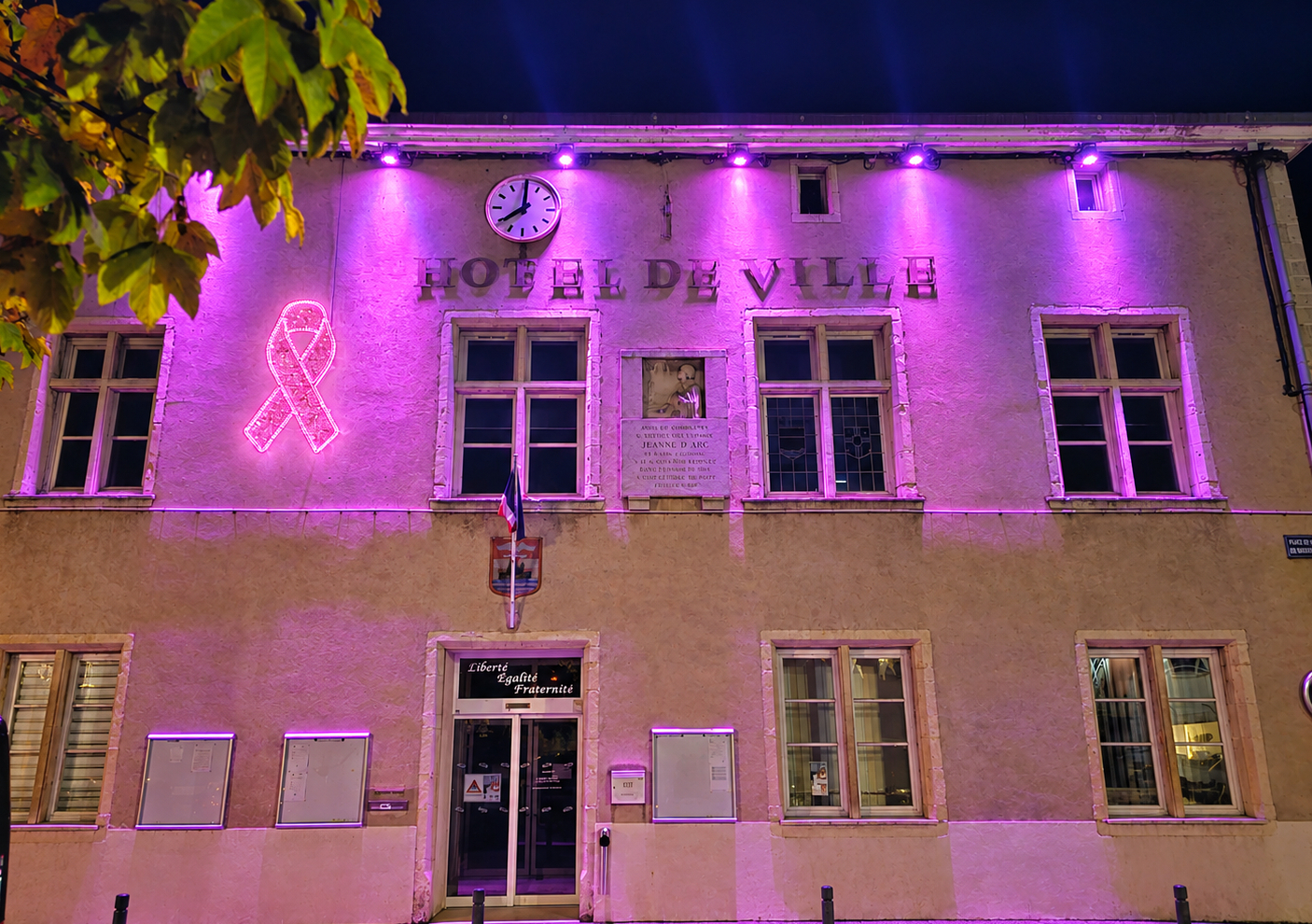 2026 10 01 OCTOBRE ROSE.jpg